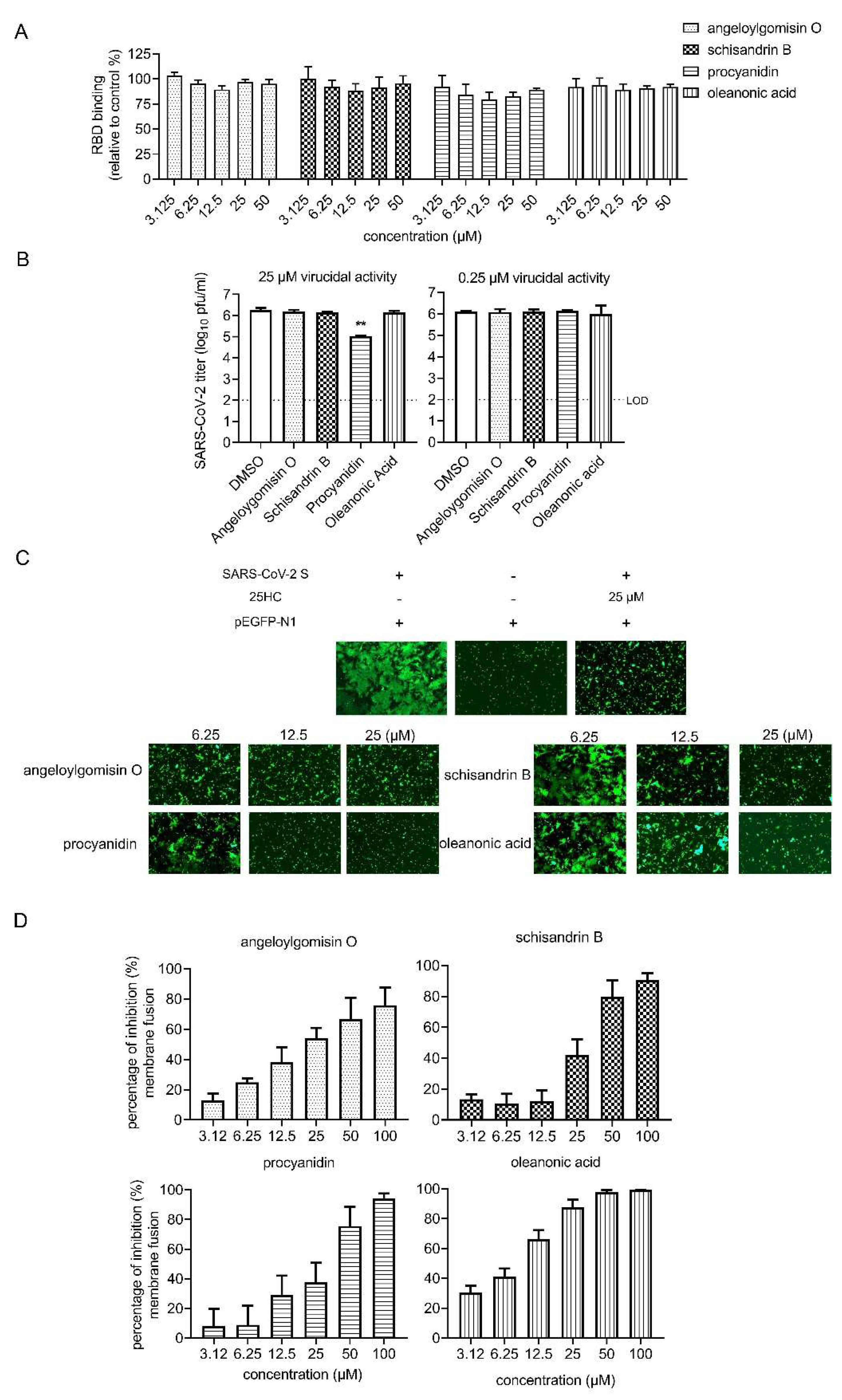 Viruses 14 00353 g004