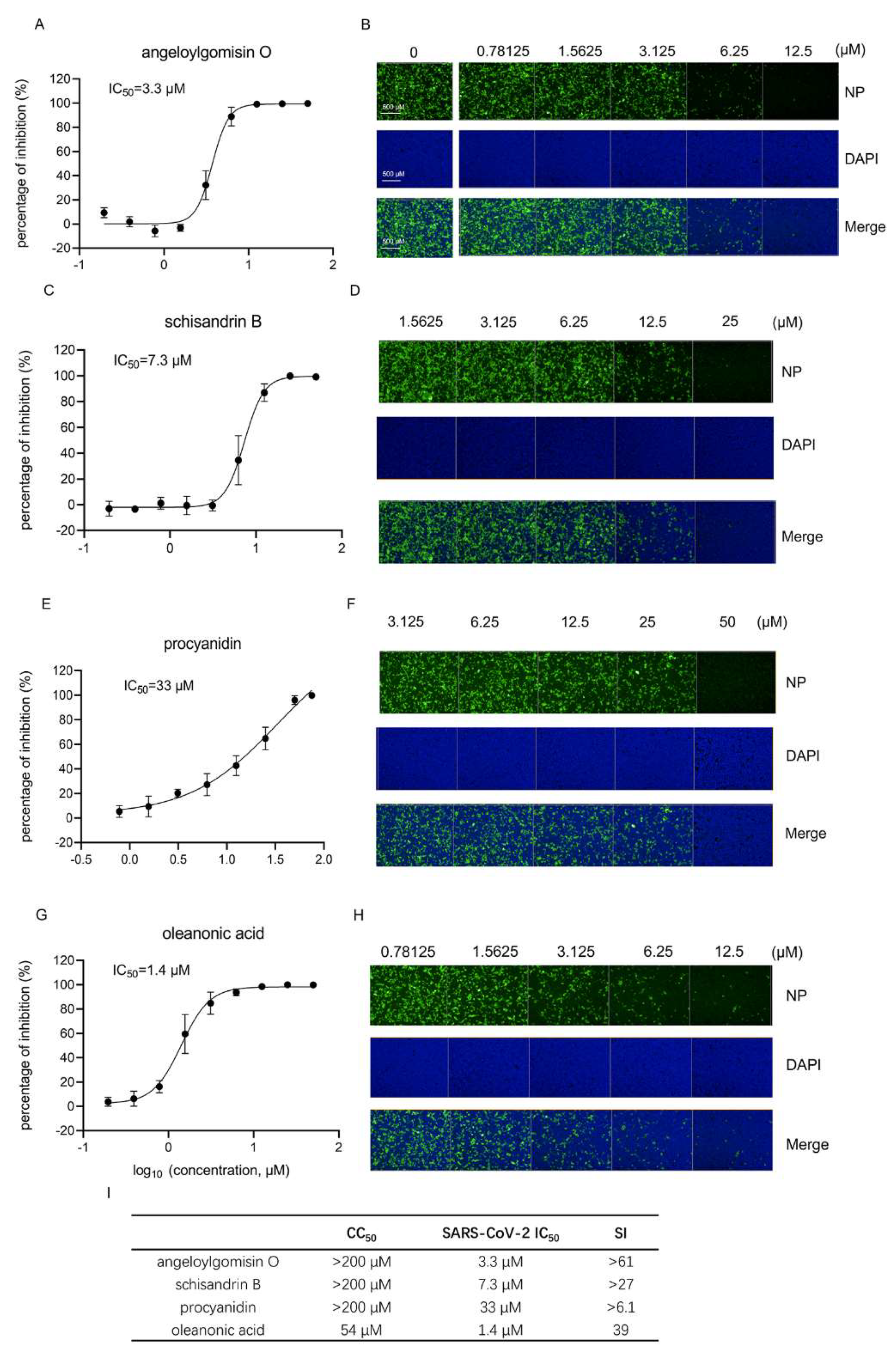 Viruses 14 00353 g005