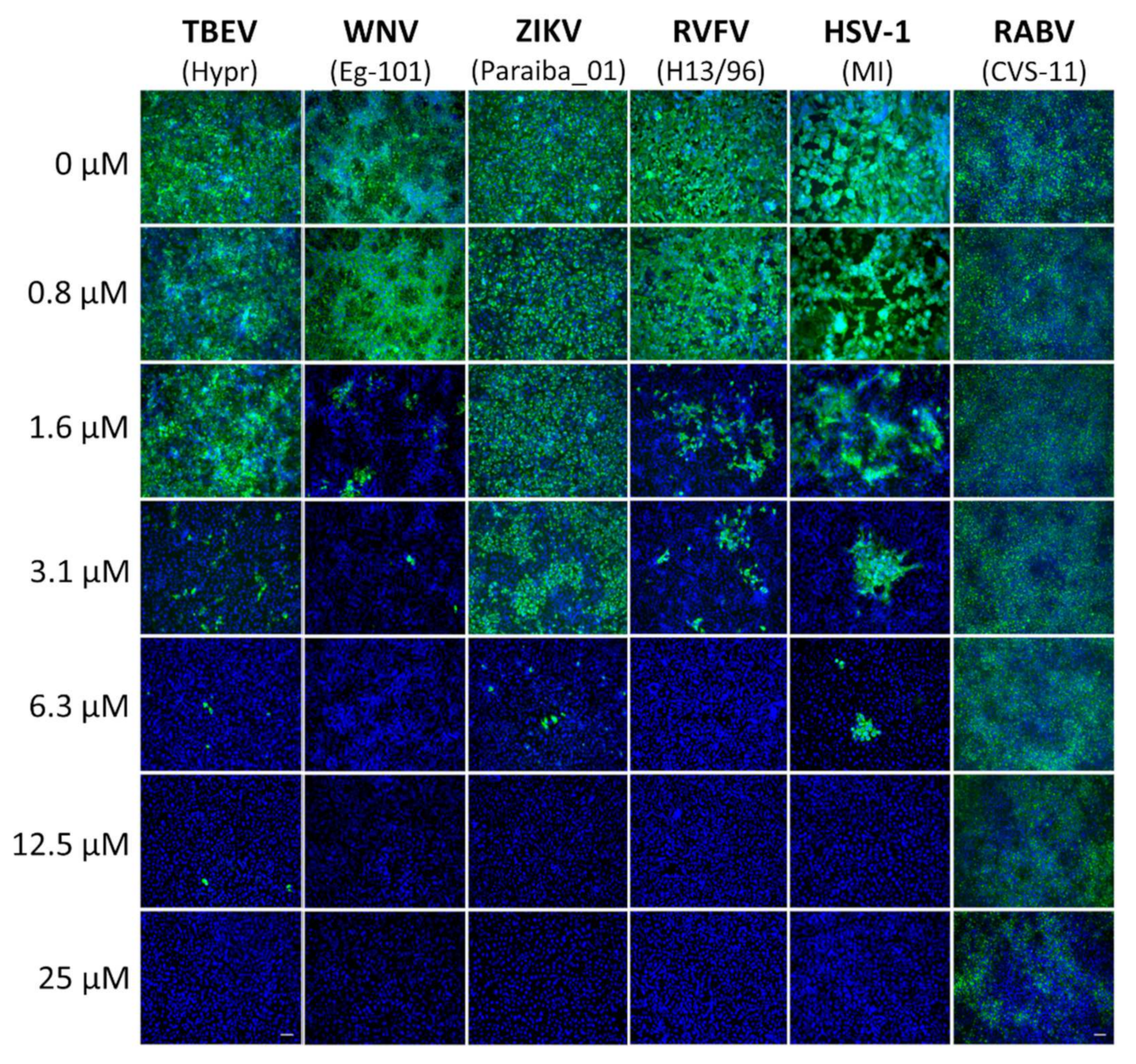 Viruses 14 00354 g003