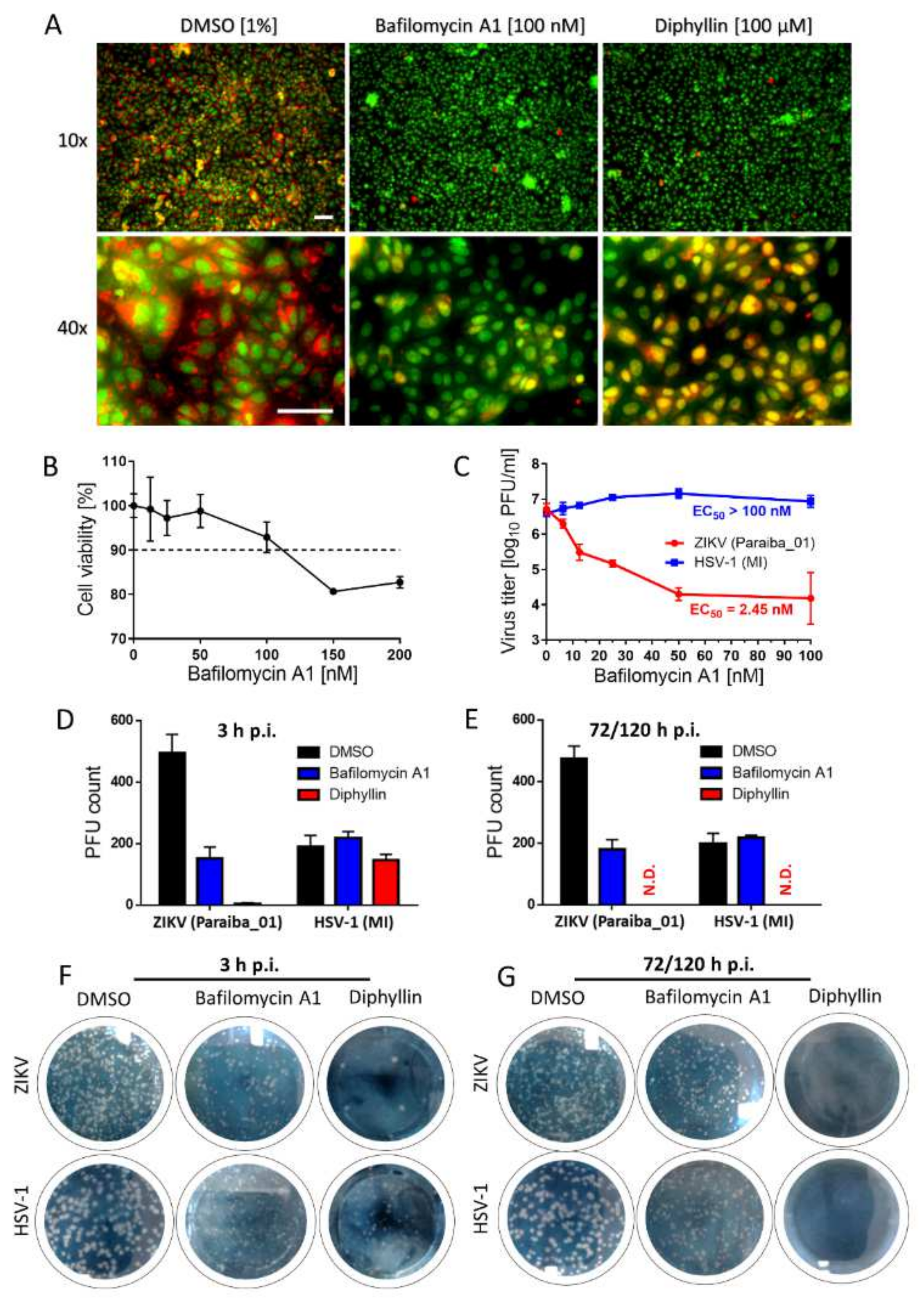 Viruses 14 00354 g004