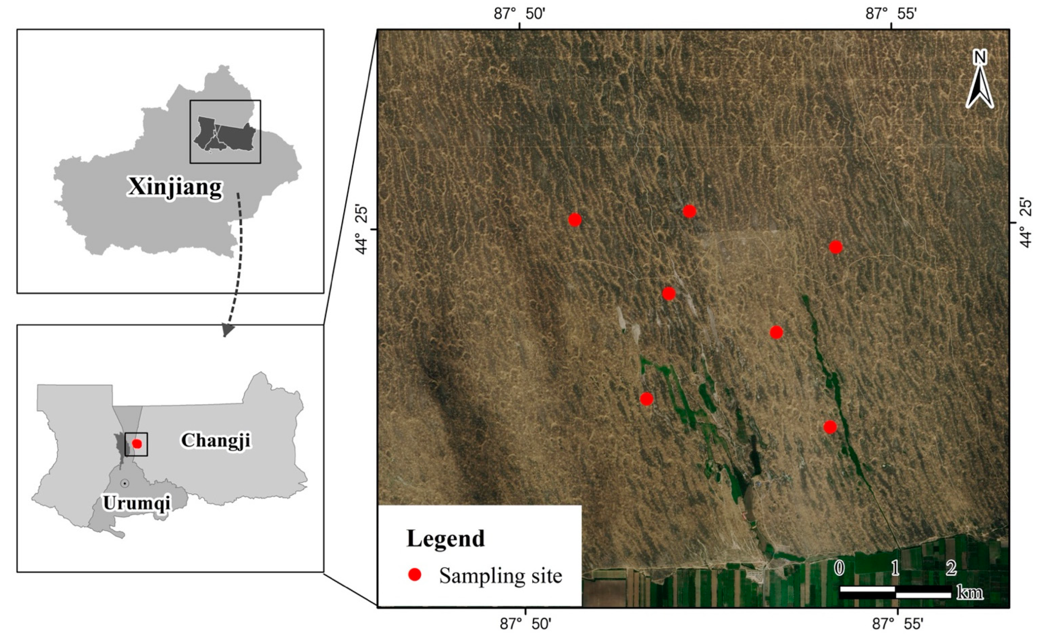 Viruses 14 00356 g001 Viruses 14 00356 g001