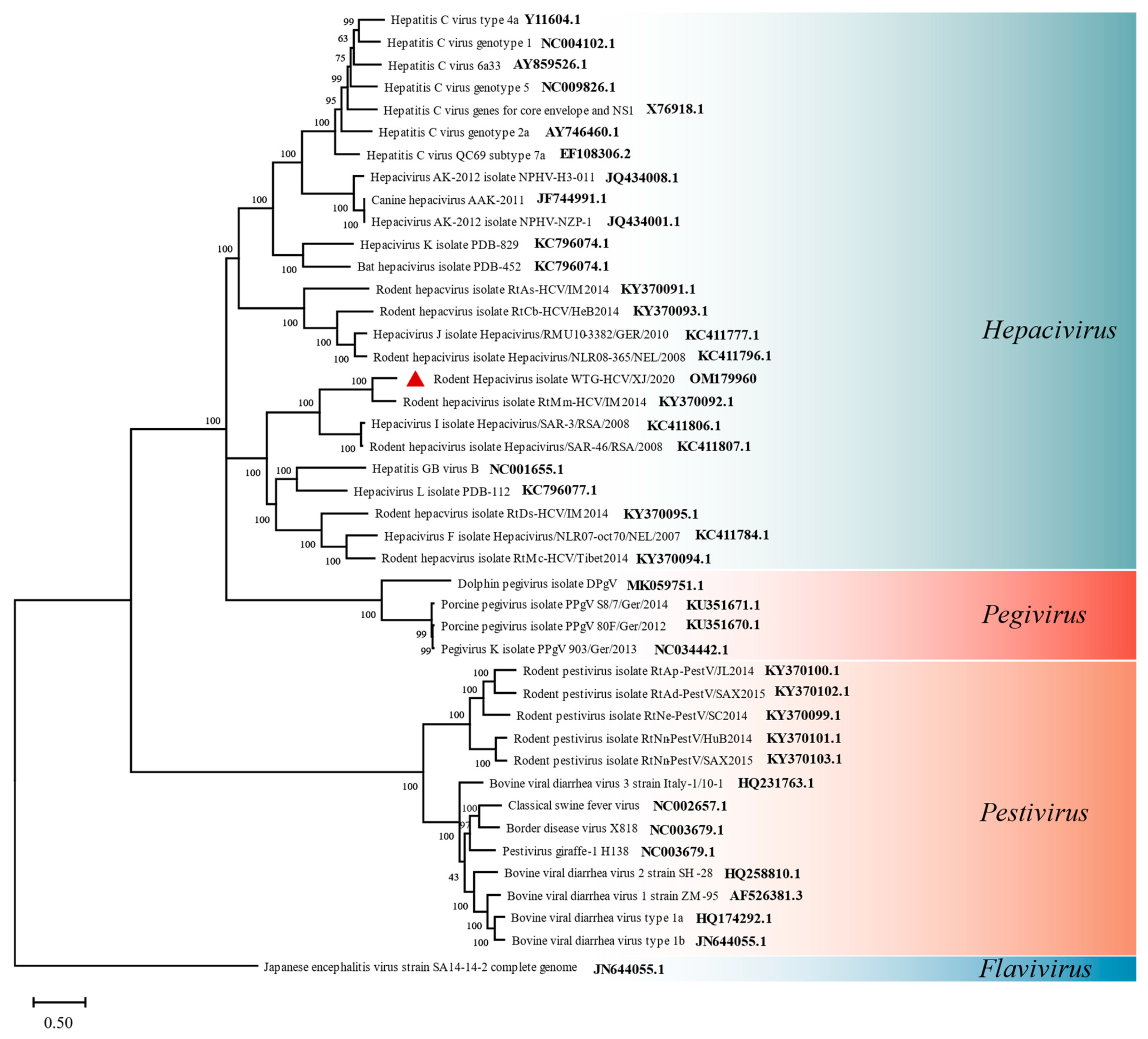 Viruses 14 00356 g005 Viruses 14 00356 g005