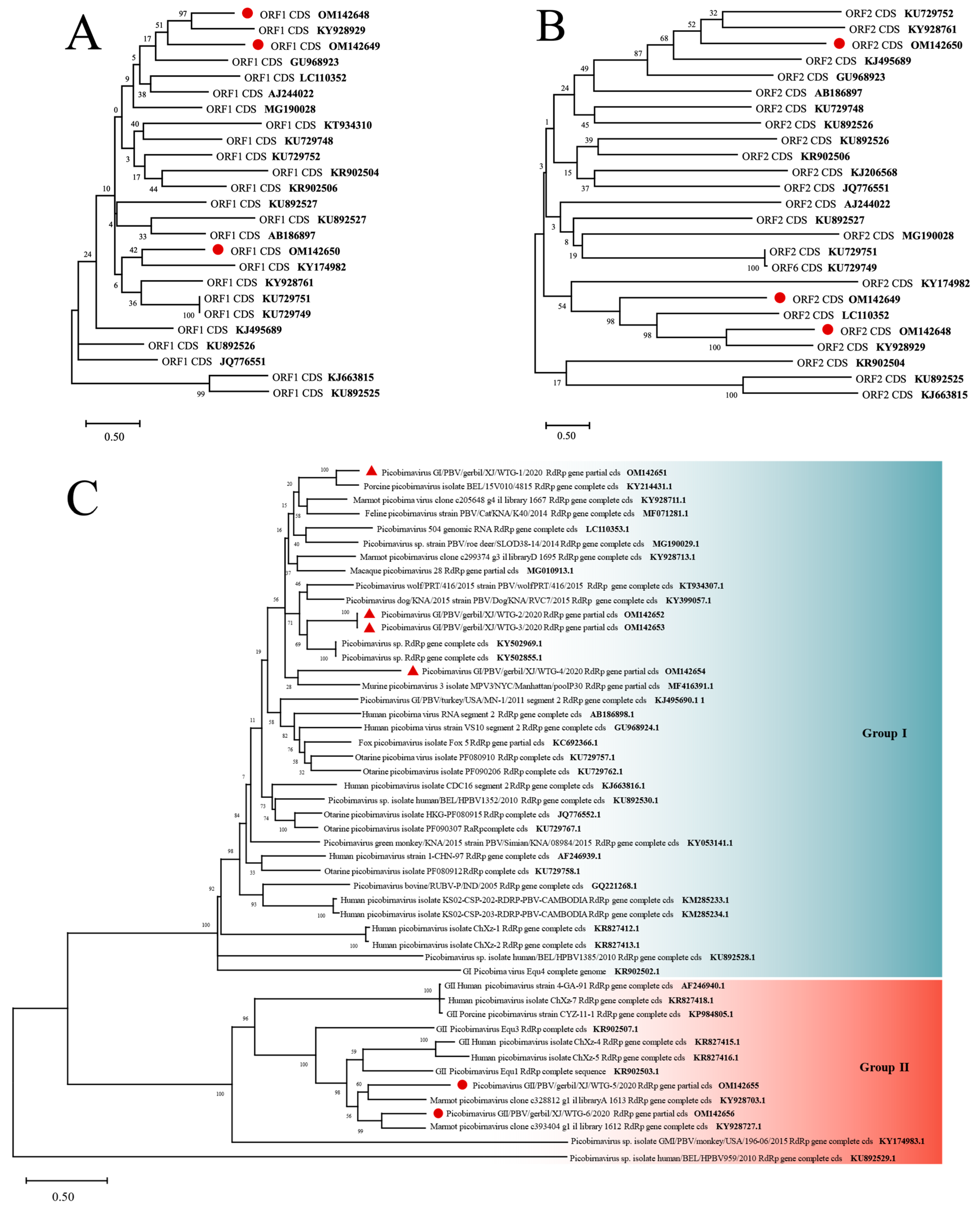 Viruses 14 00356 g006 Viruses 14 00356 g006
