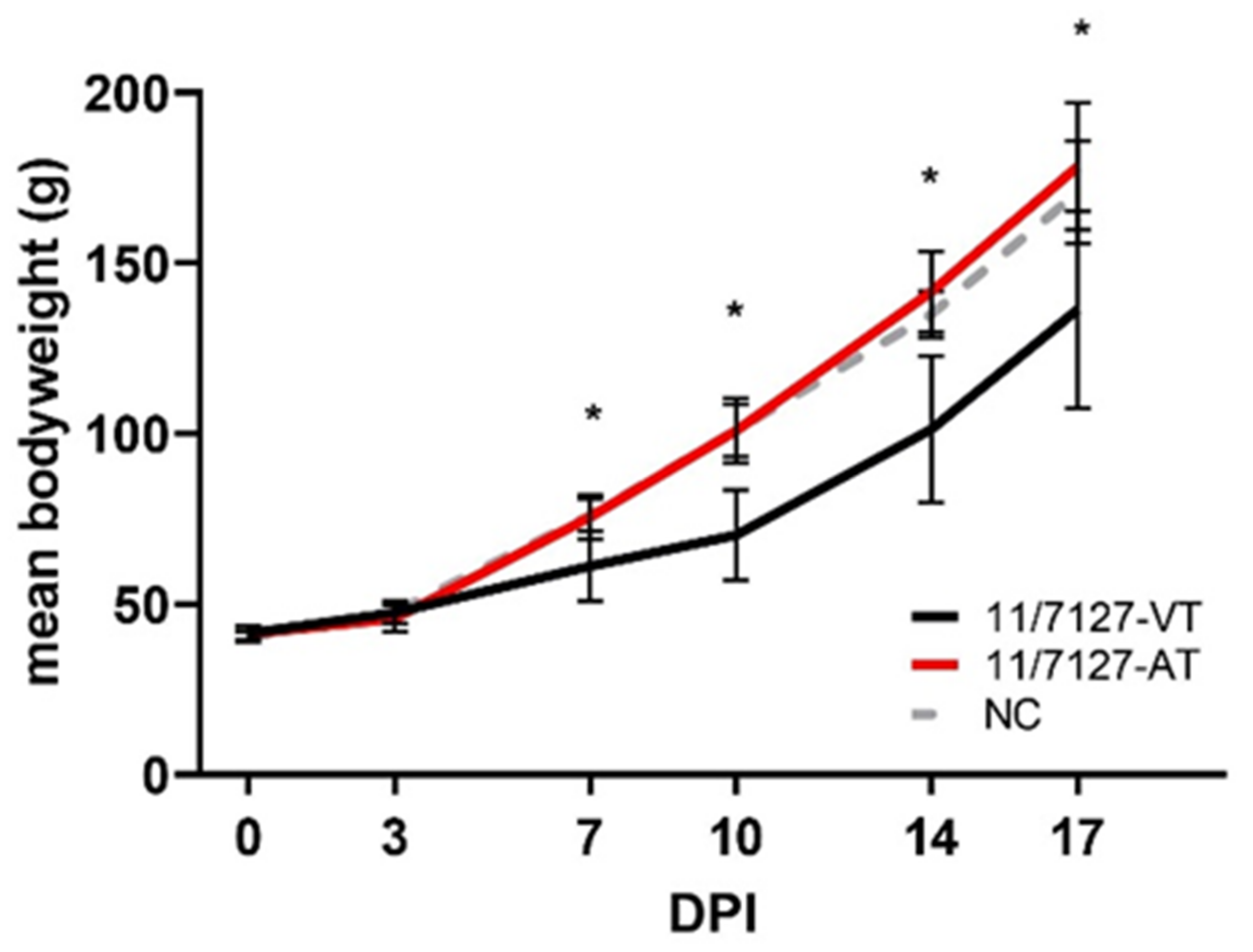 P graph