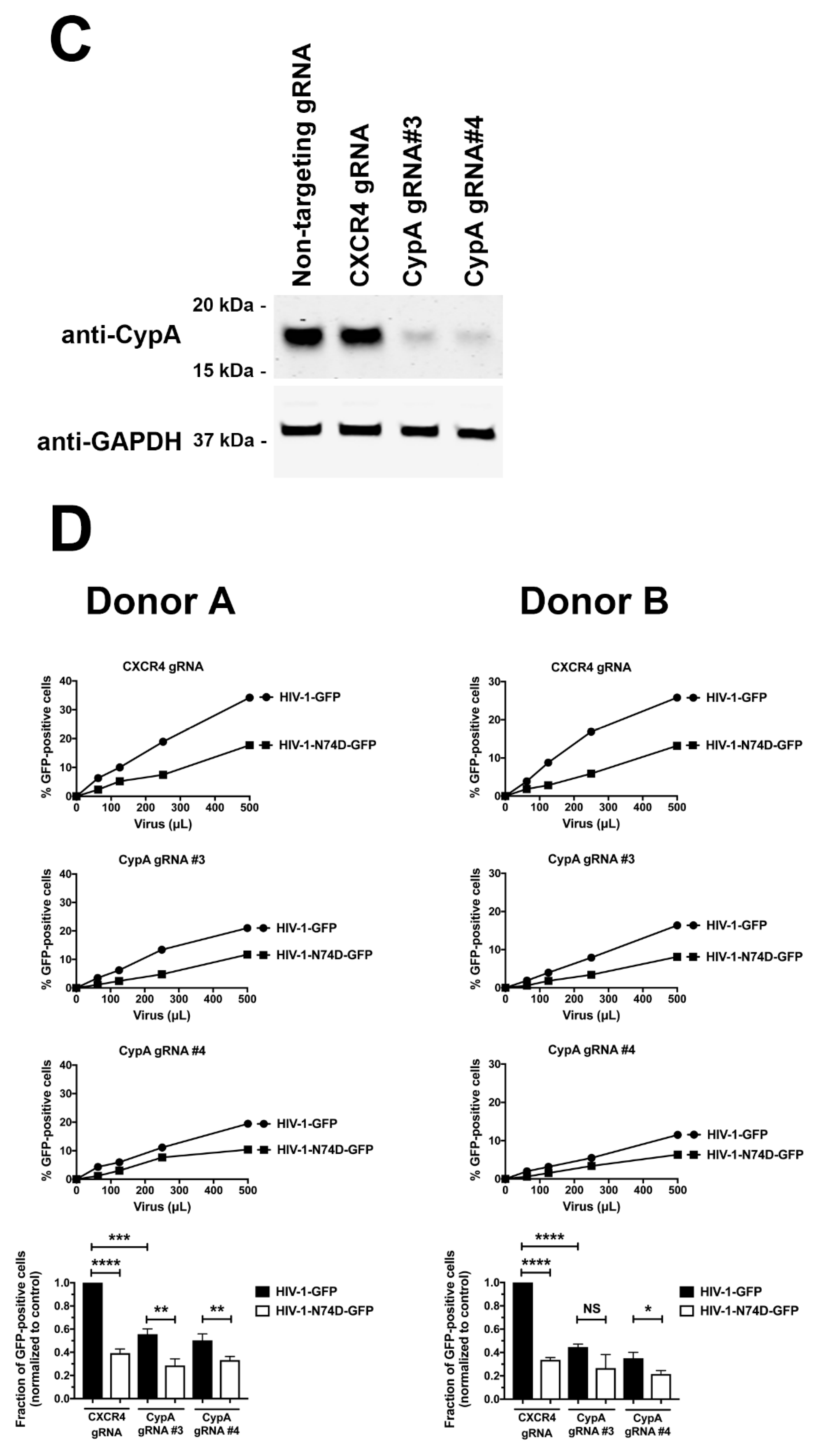 Viruses 14 00363 g005b
