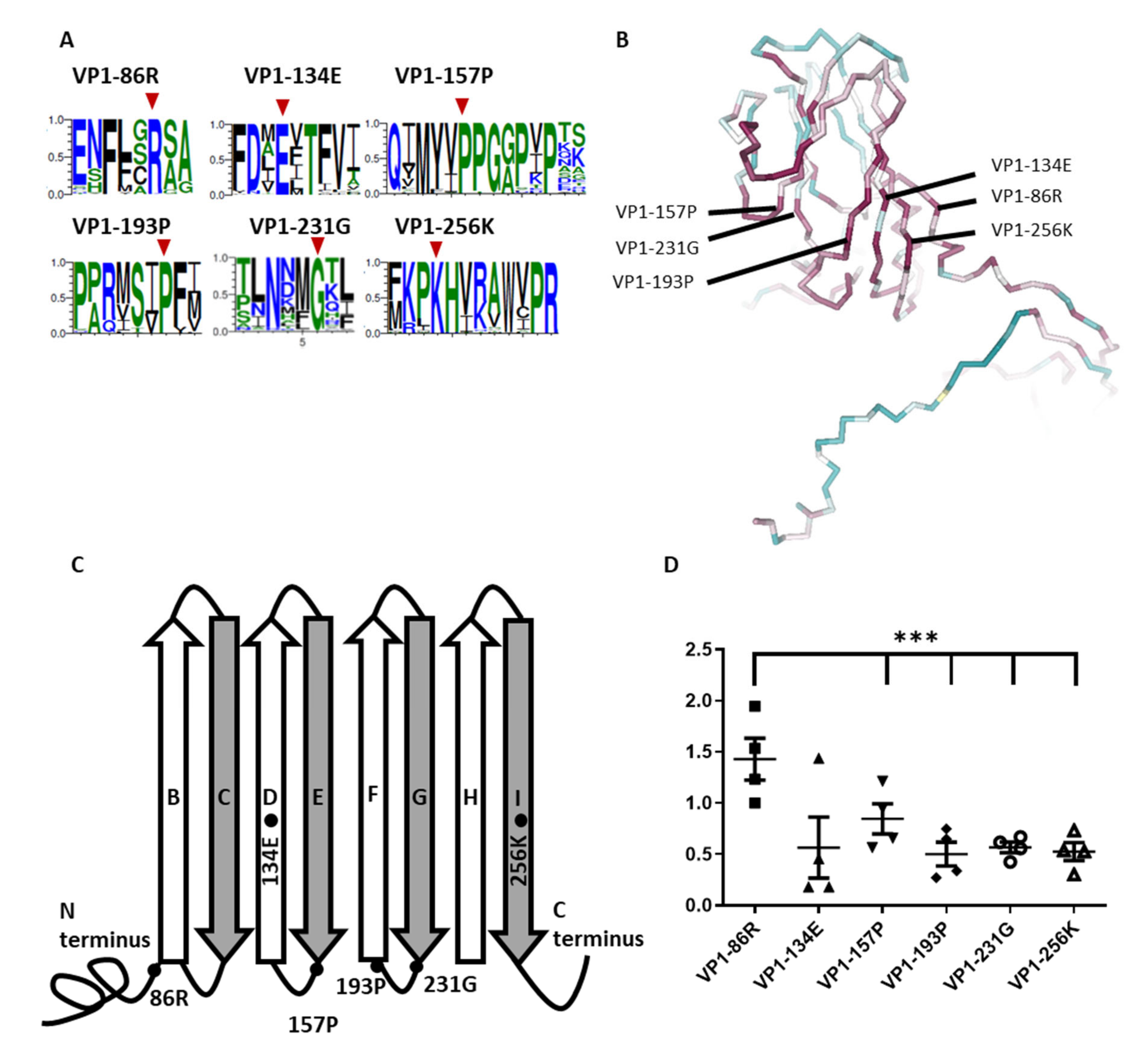 Viruses 14 00364 g001