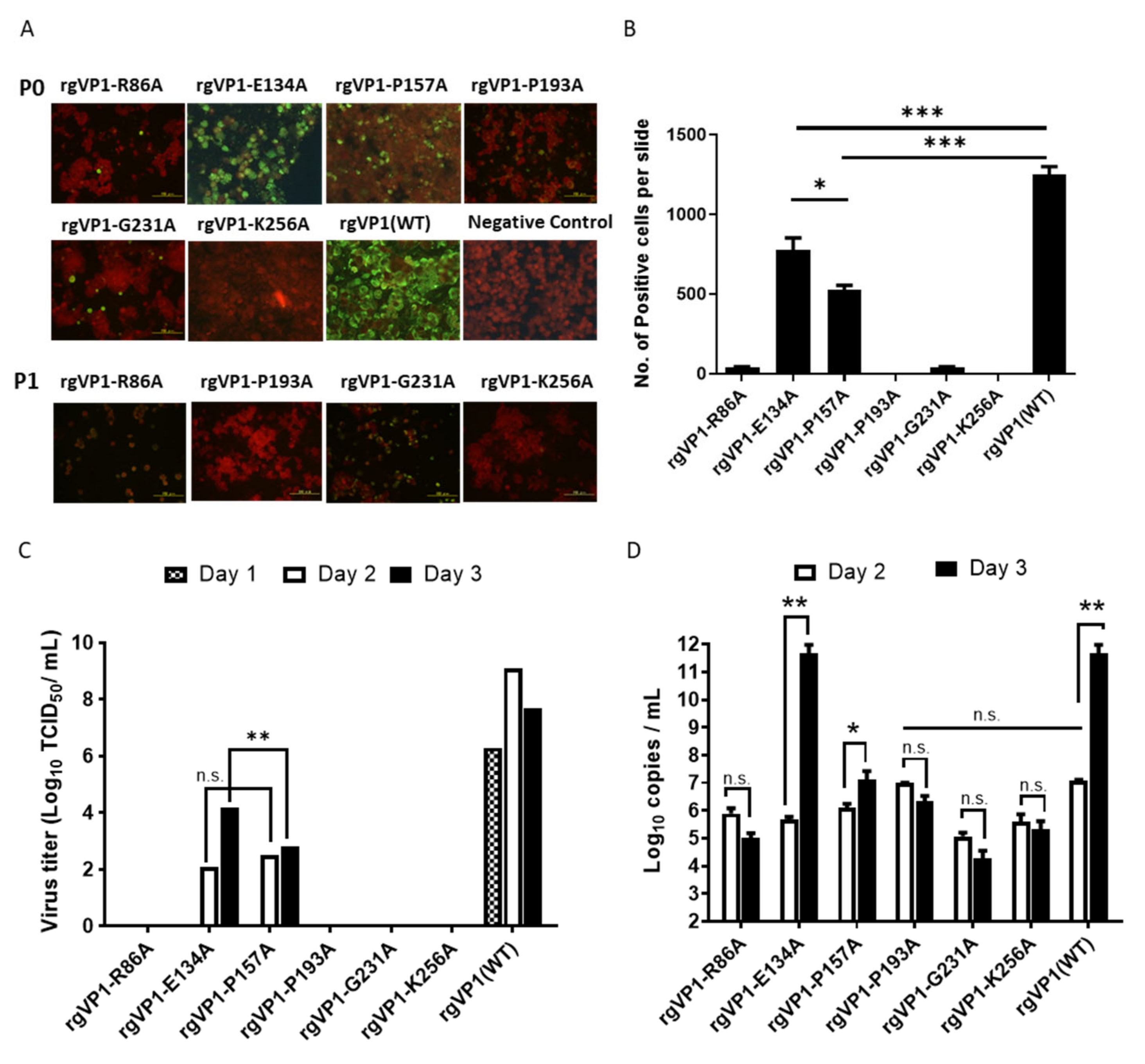 Viruses 14 00364 g002