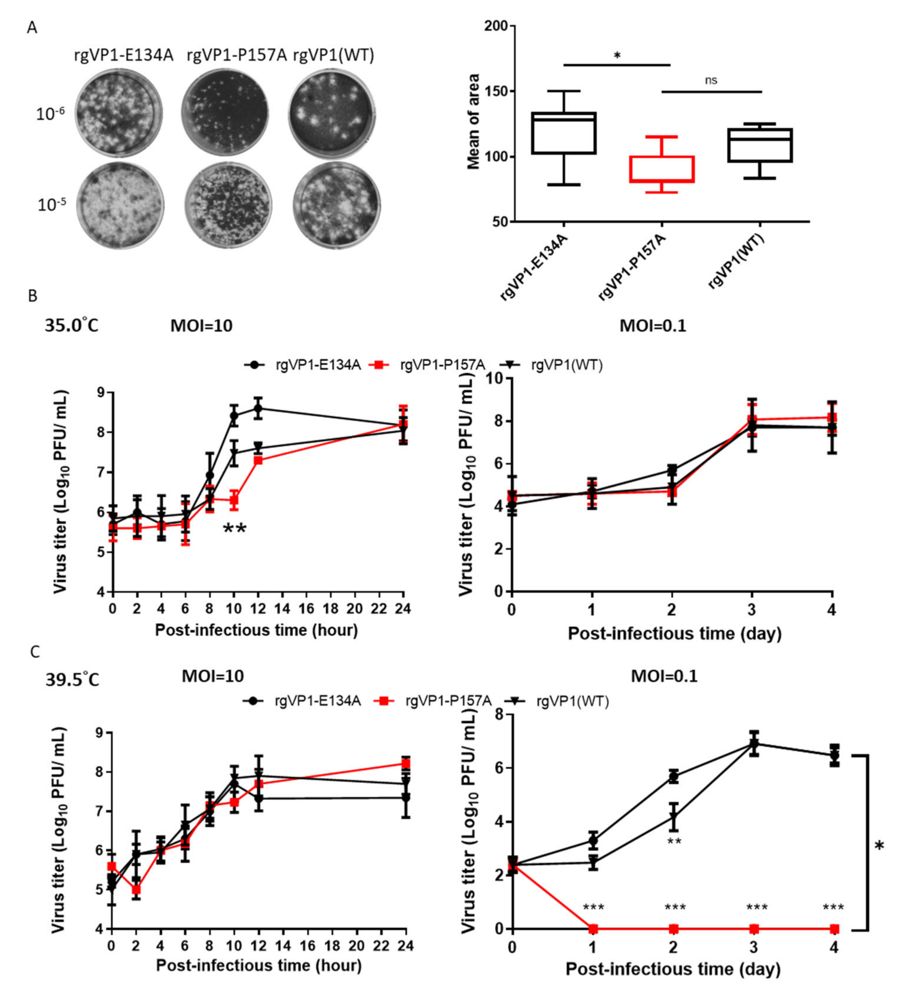 Viruses 14 00364 g004