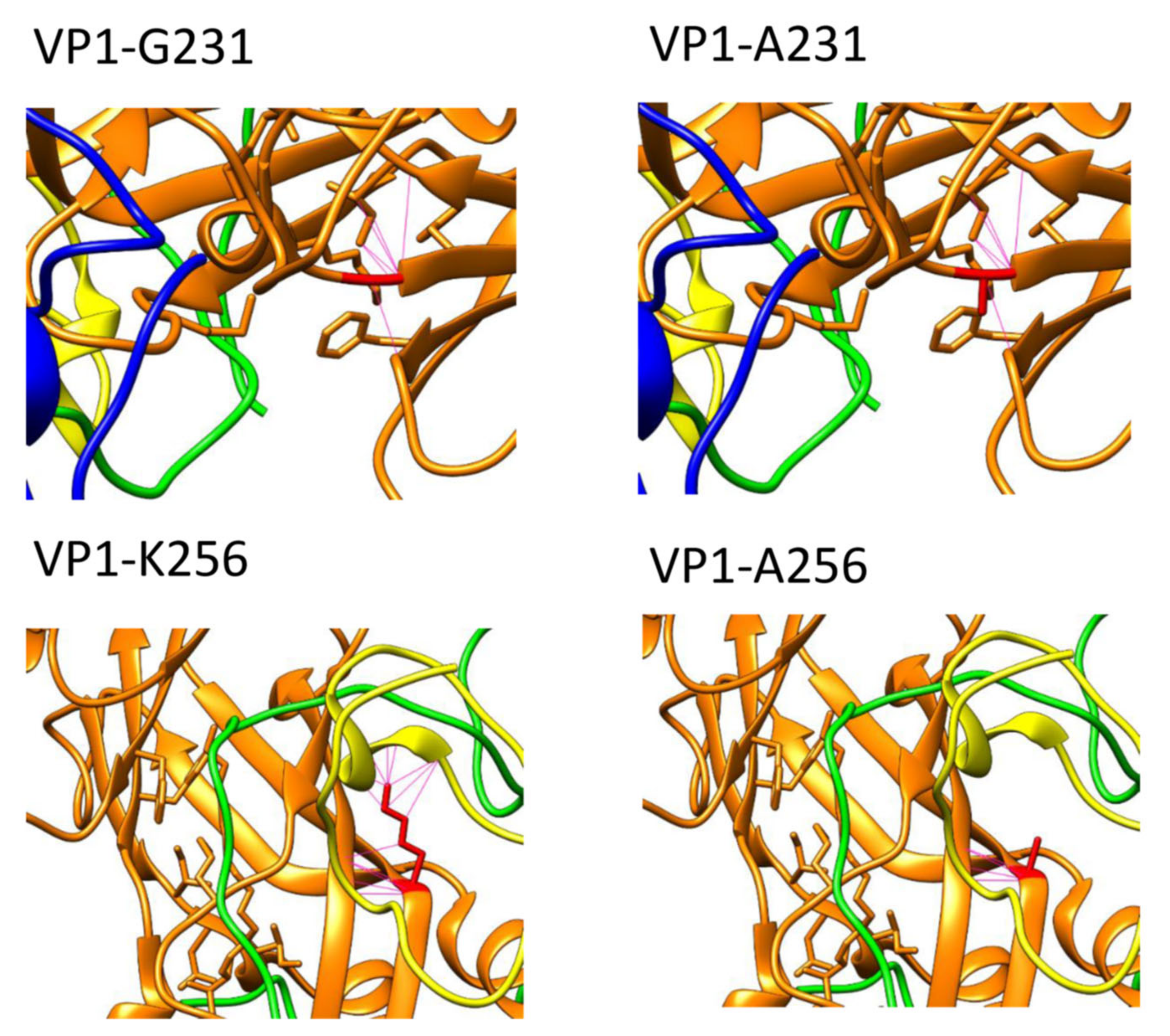 Viruses 14 00364 g006b