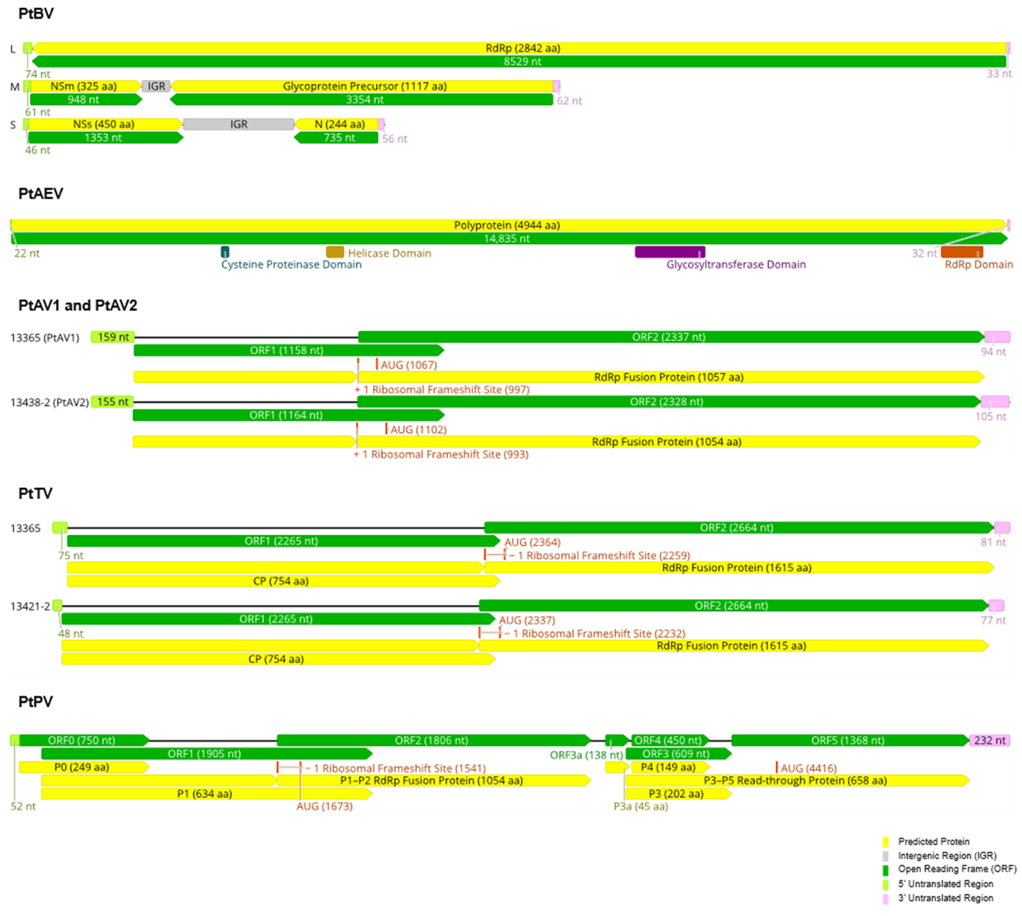 Viruses 14 00365 g002