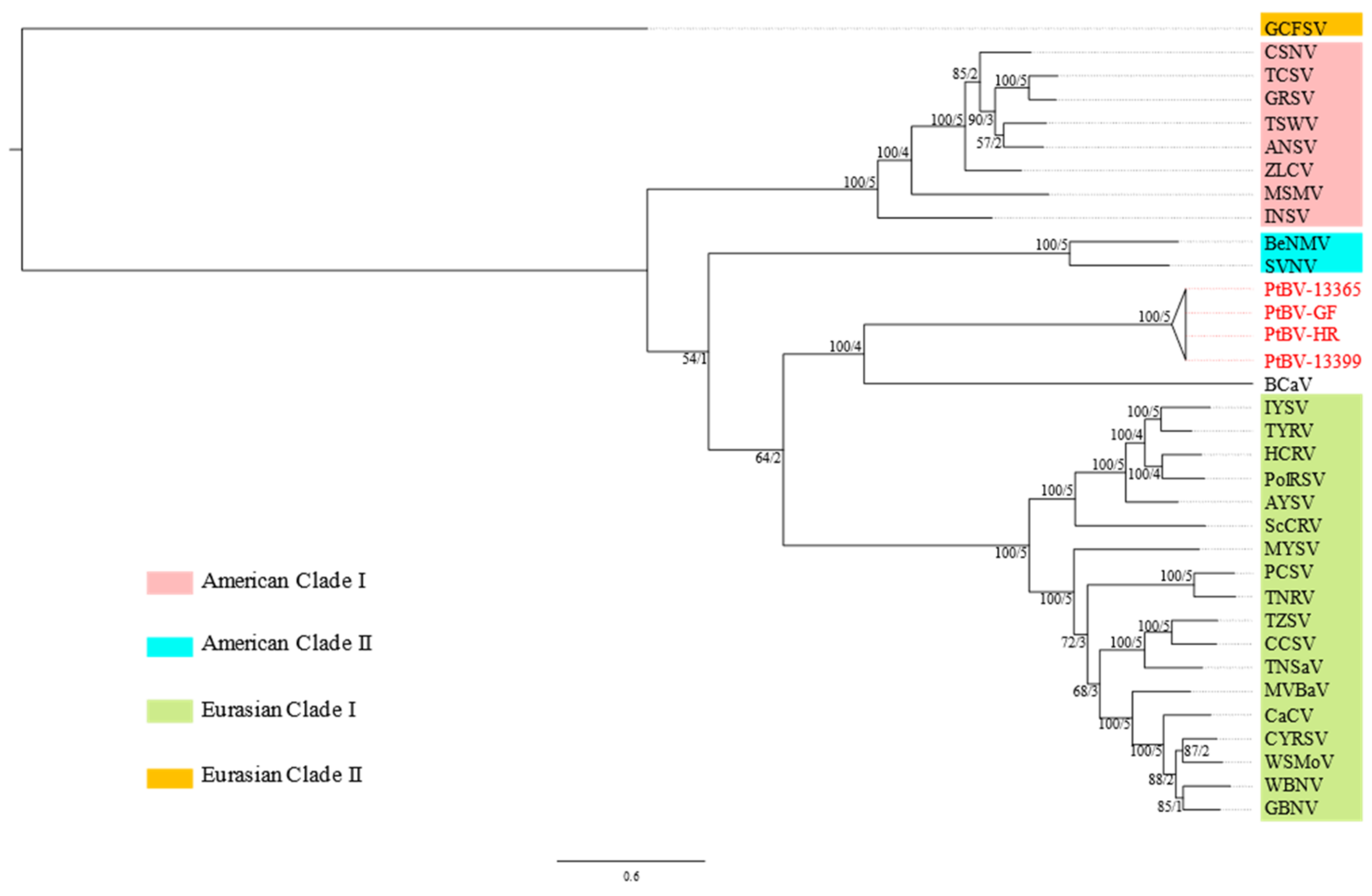 Viruses 14 00365 g003