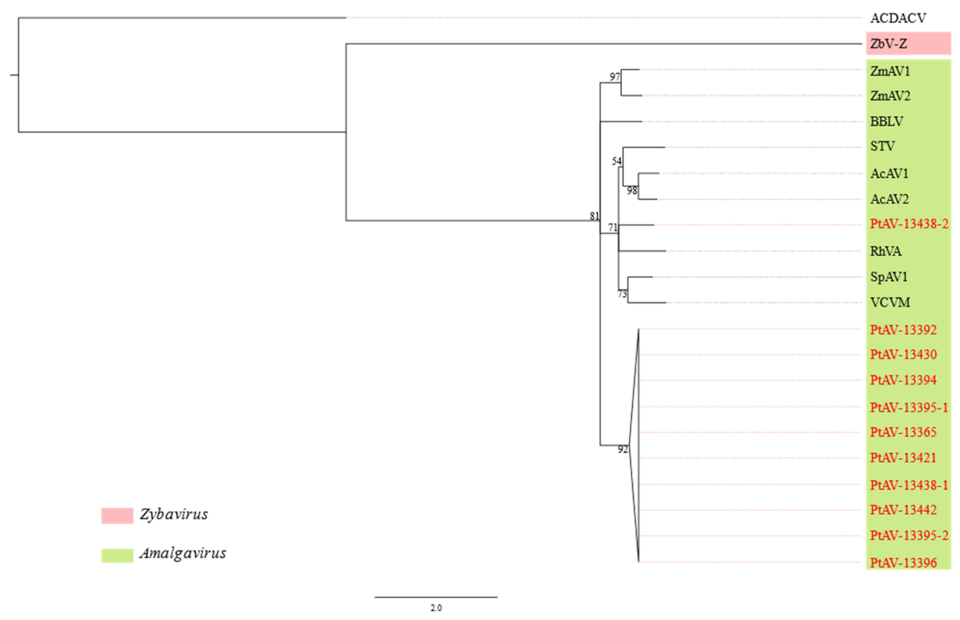 Viruses 14 00365 g005