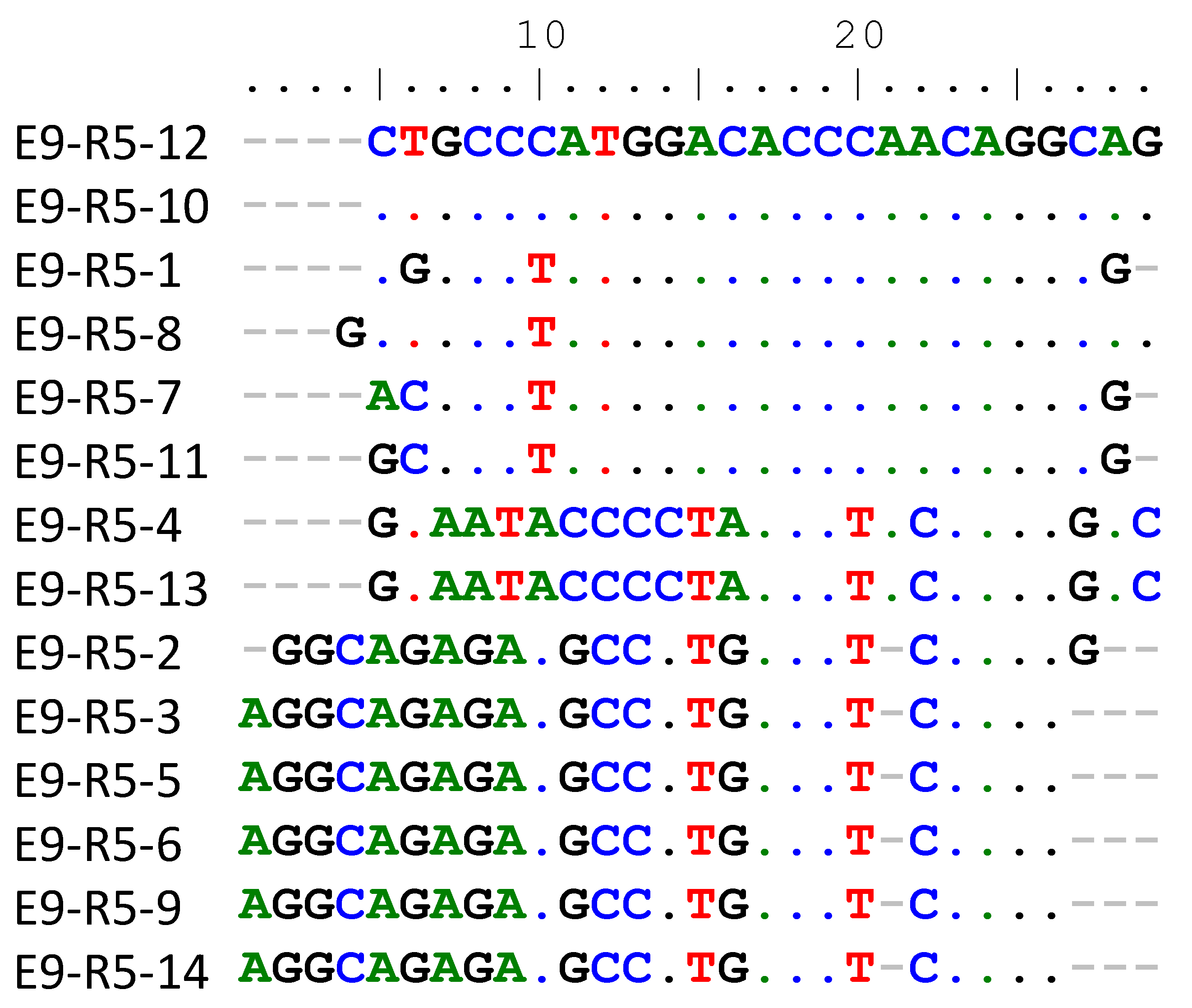 Viruses 14 00369 g001 Viruses 14 00369 g001