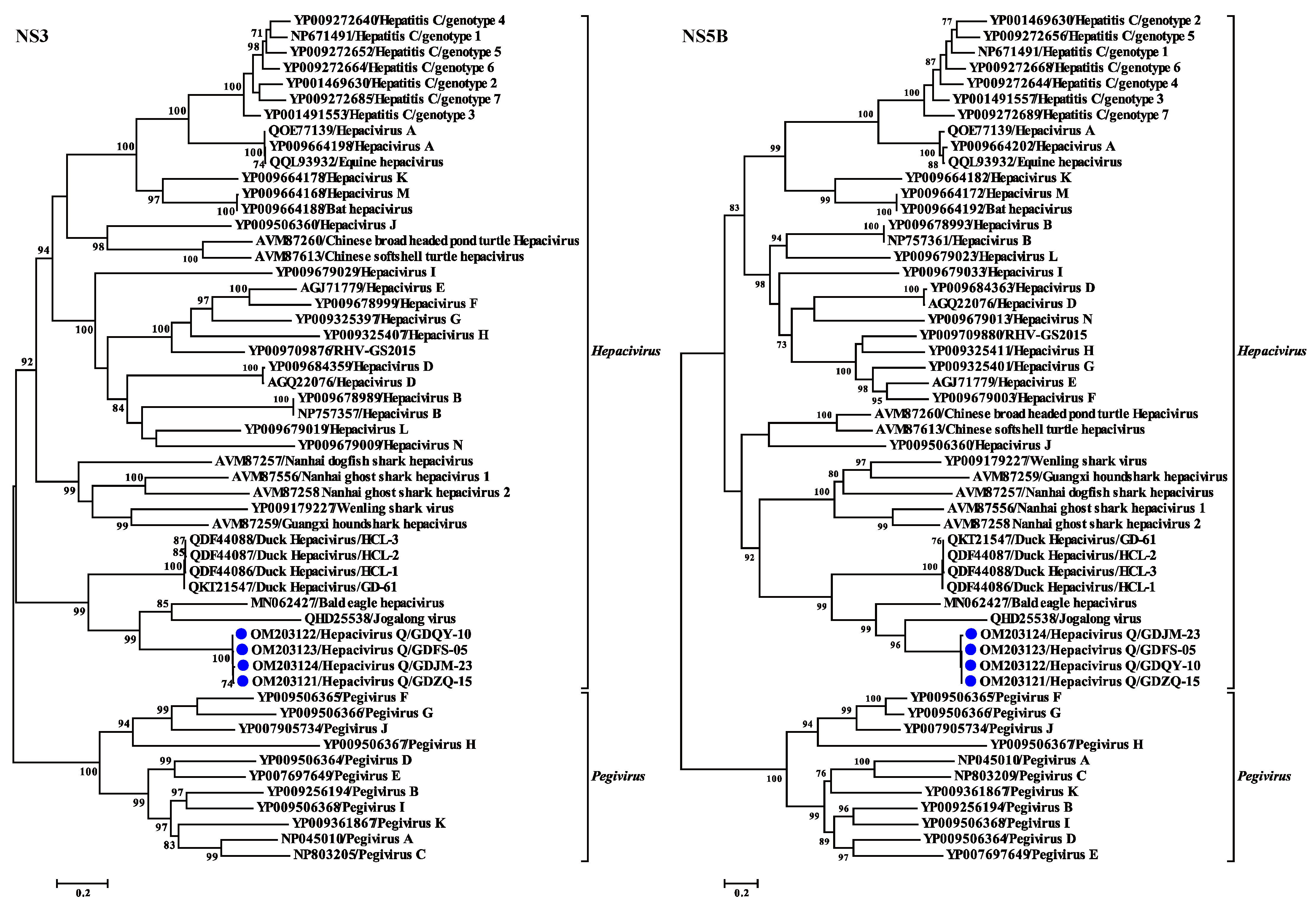 Viruses 14 00371 g004 Viruses 14 00371 g004