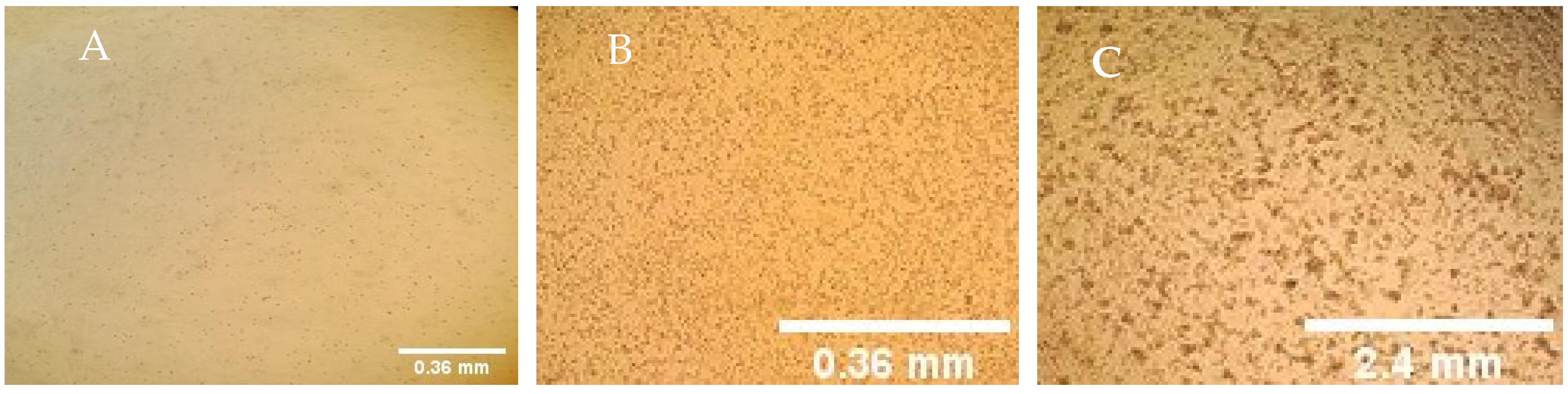 Viruses 14 00372 g001 Viruses 14 00372 g001