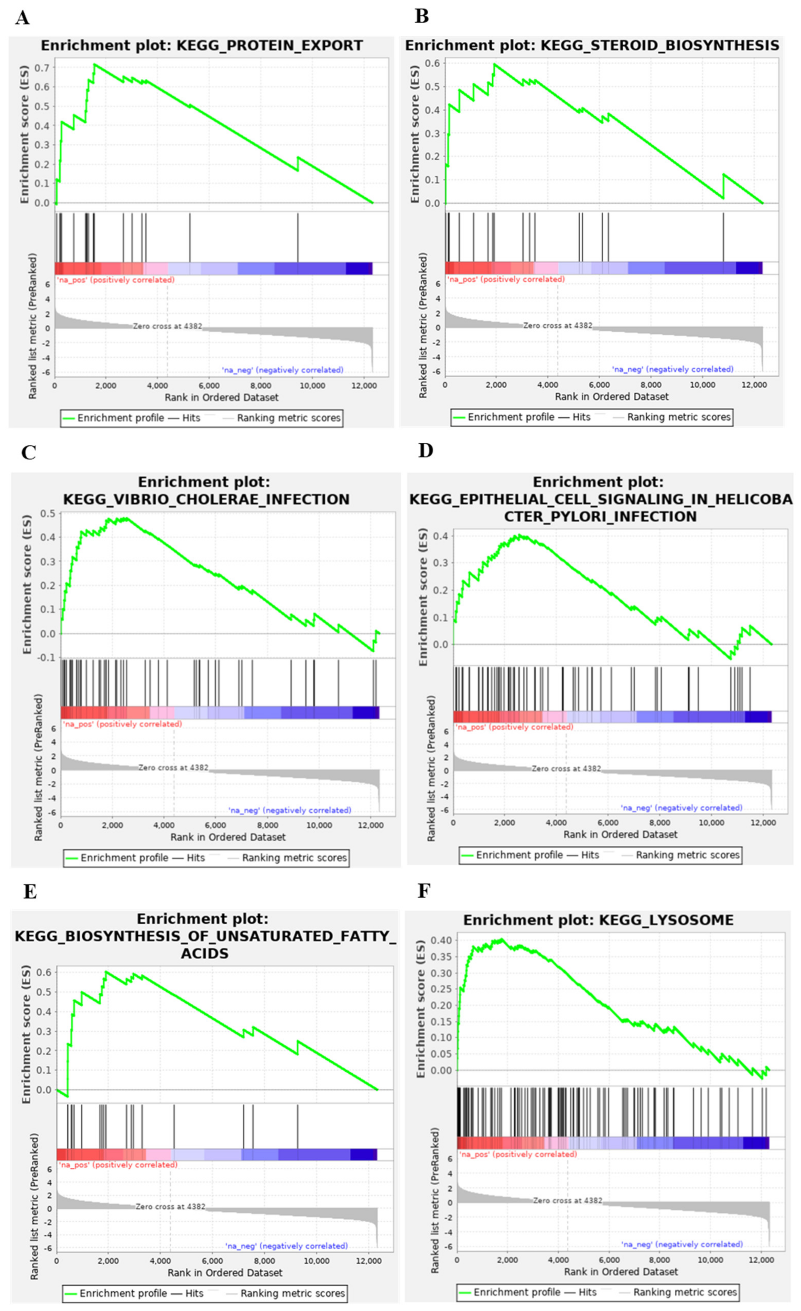 Viruses 14 00374 g003 550