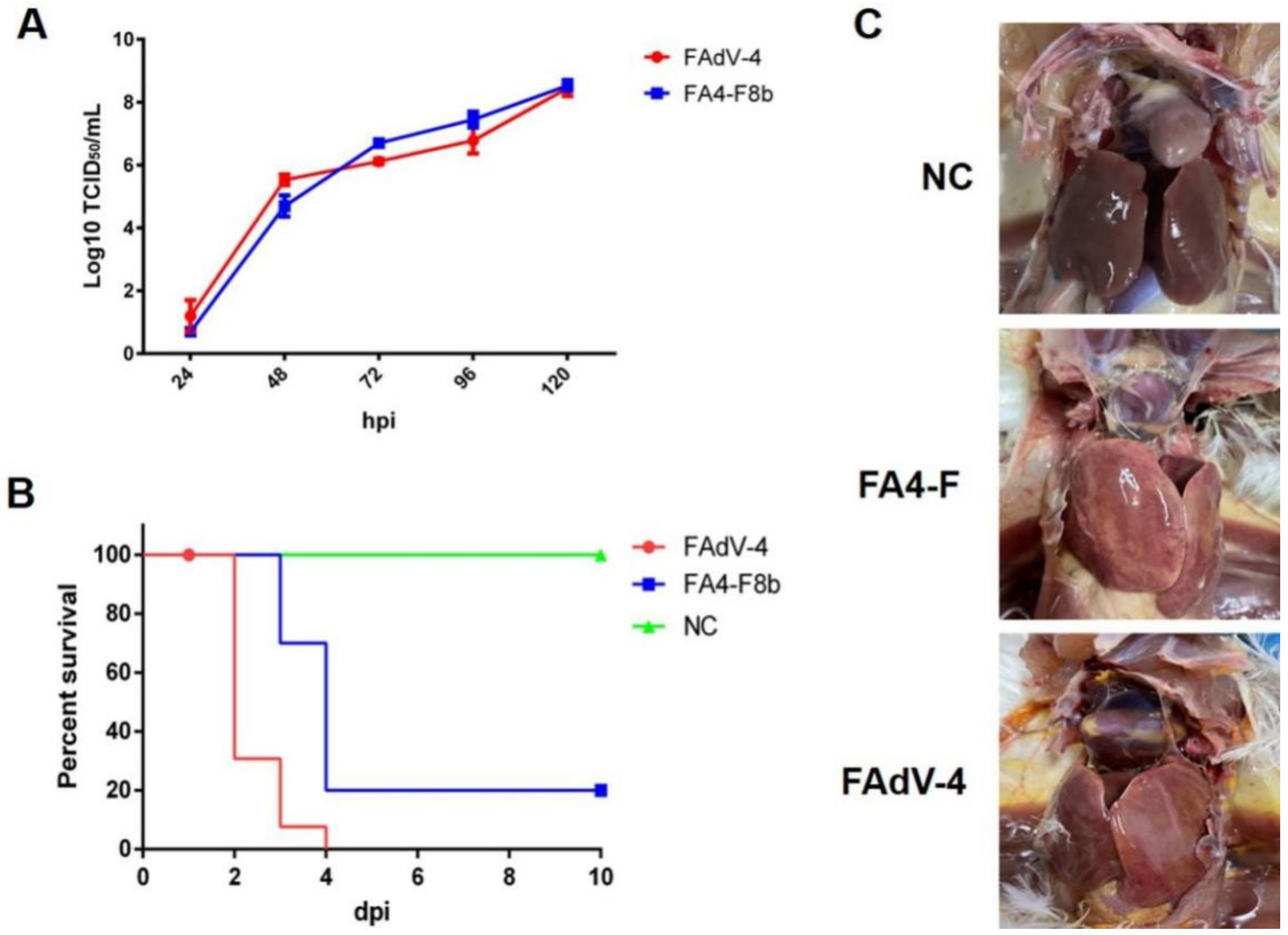 Viruses 14 00376 g002 550