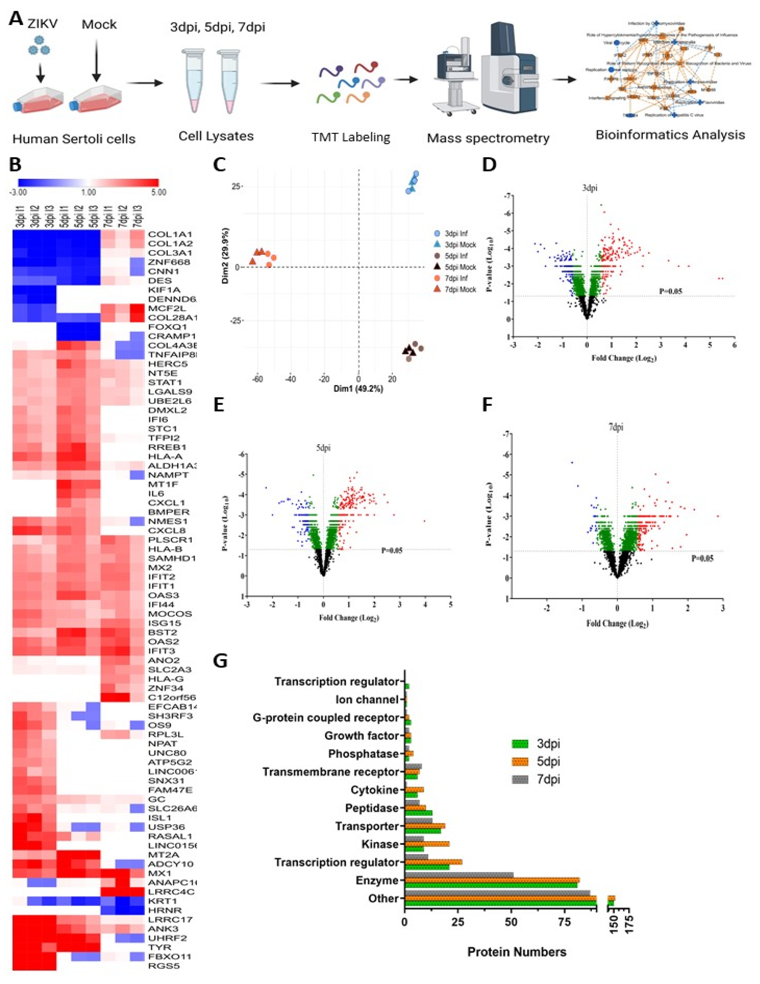 Viruses 14 00377 g002