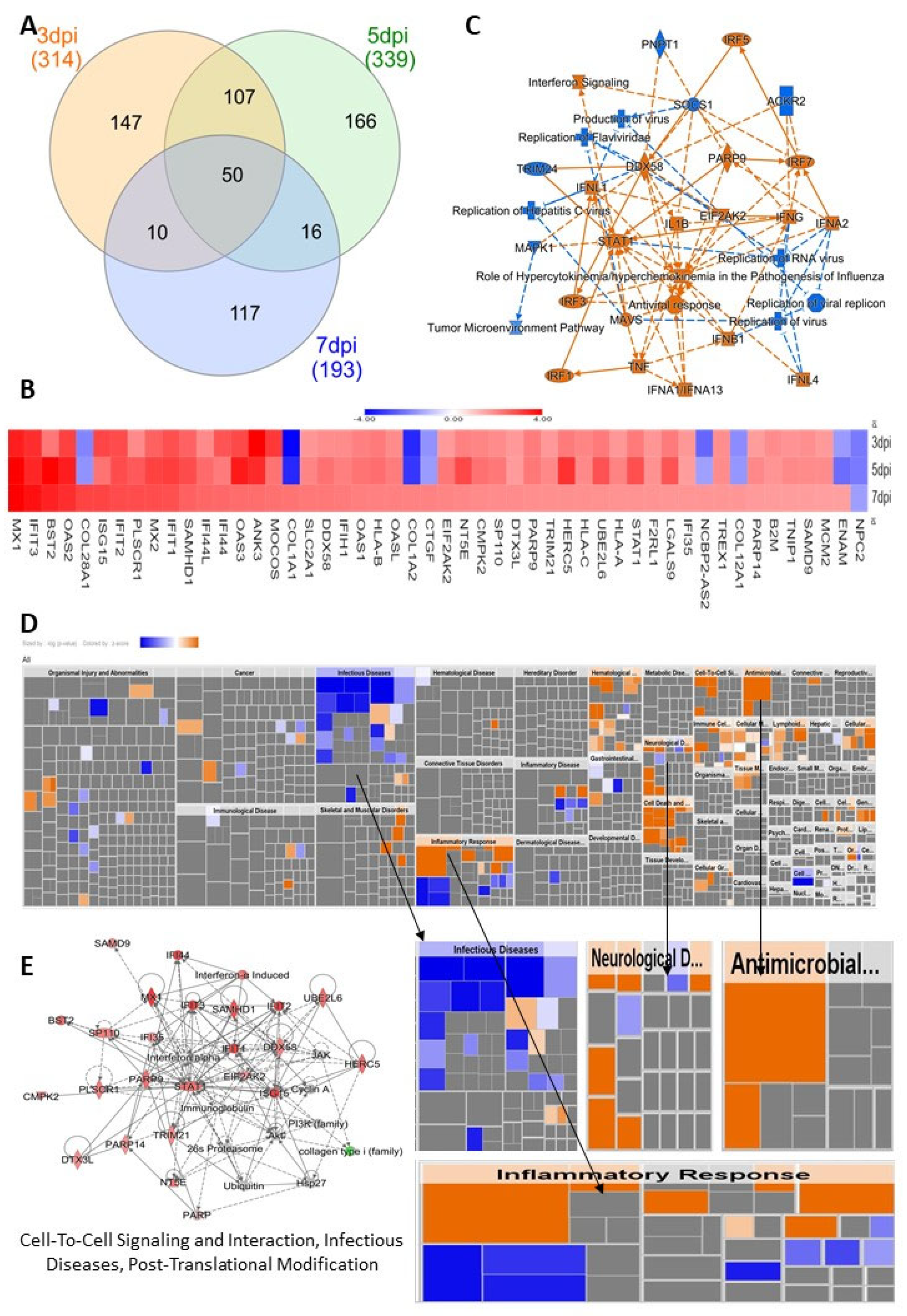Viruses 14 00377 g004