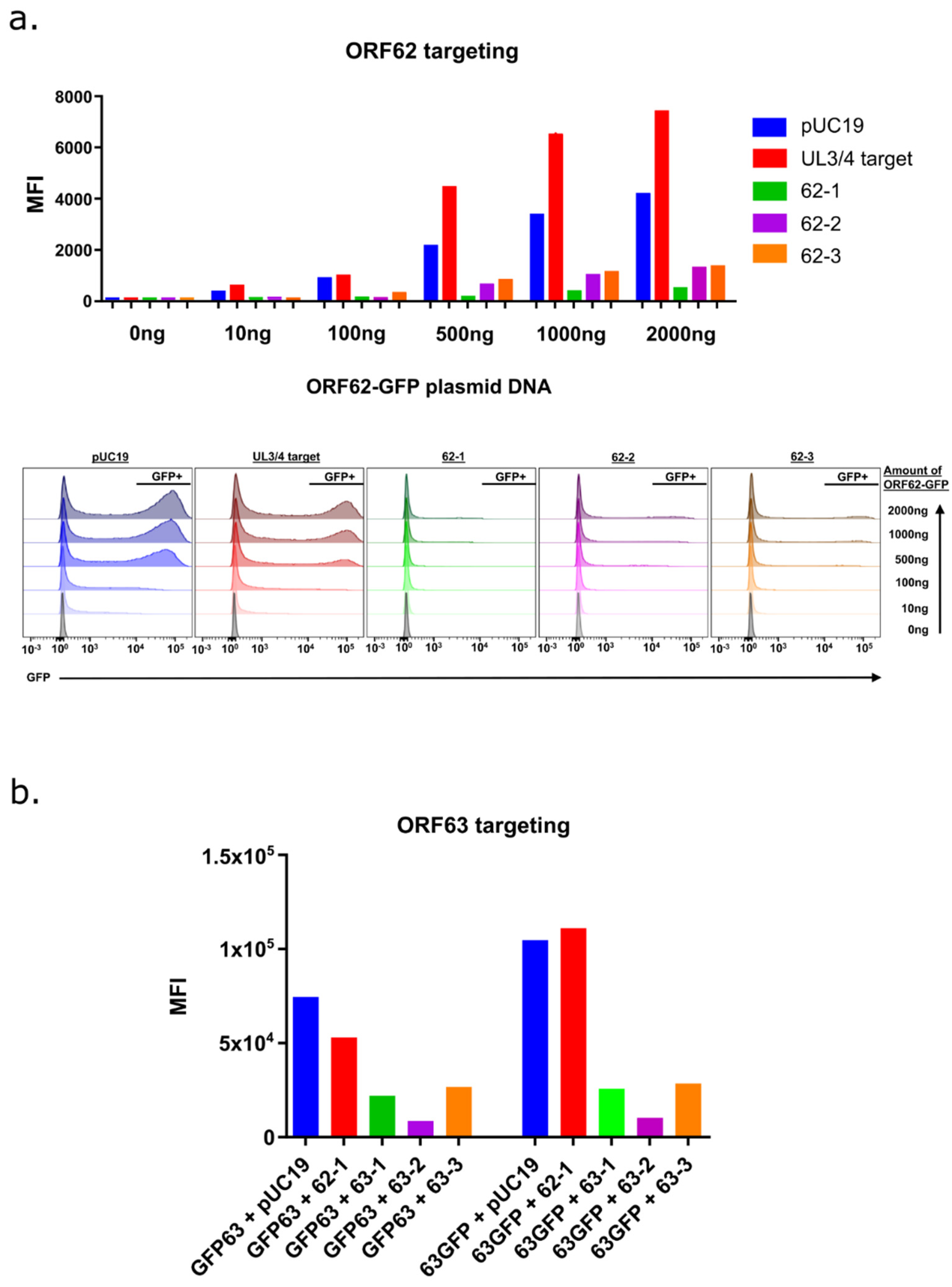 Viruses 14 00378 g001 Viruses 14 00378 g001