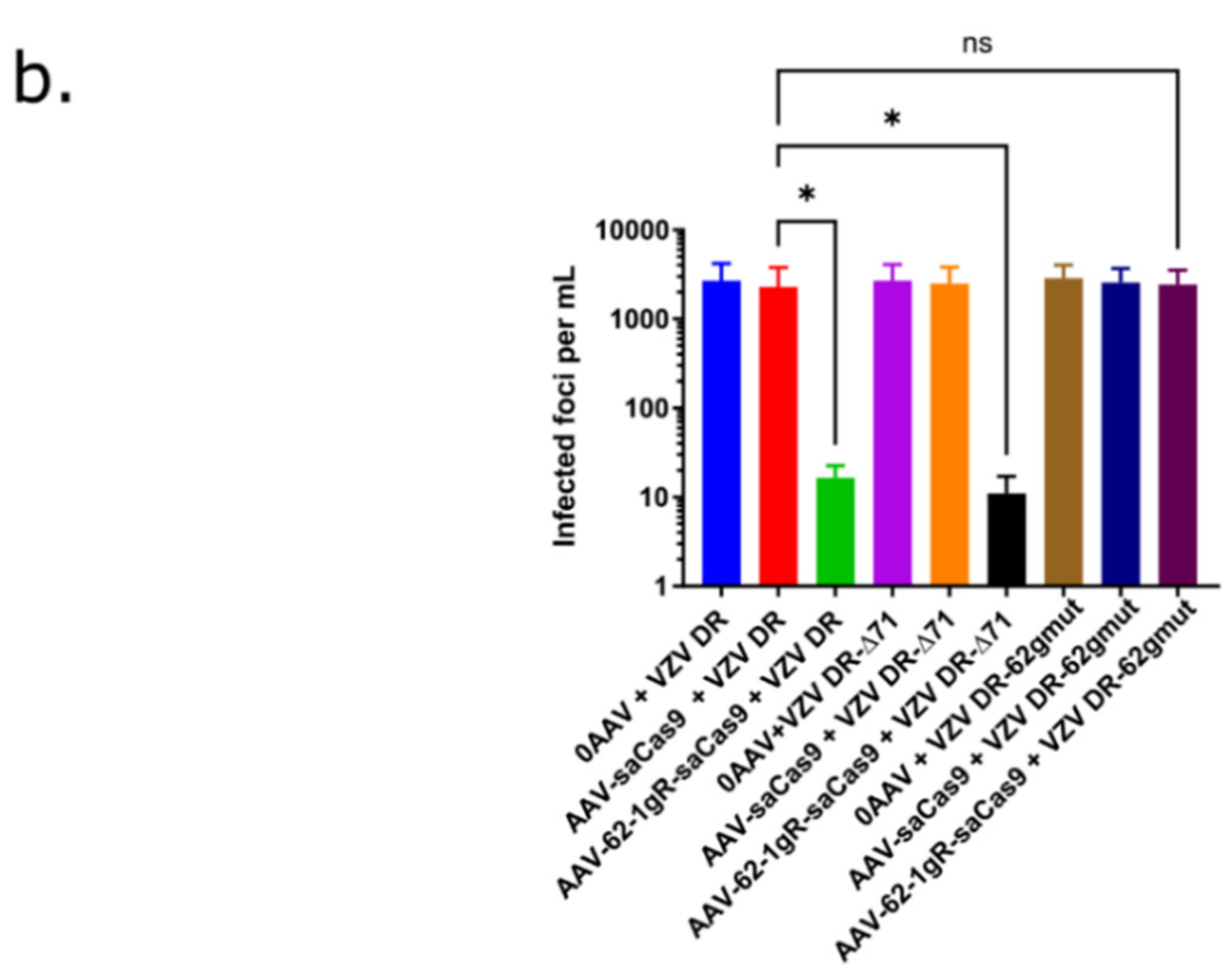 Viruses 14 00378 g005b Viruses 14 00378 g005b