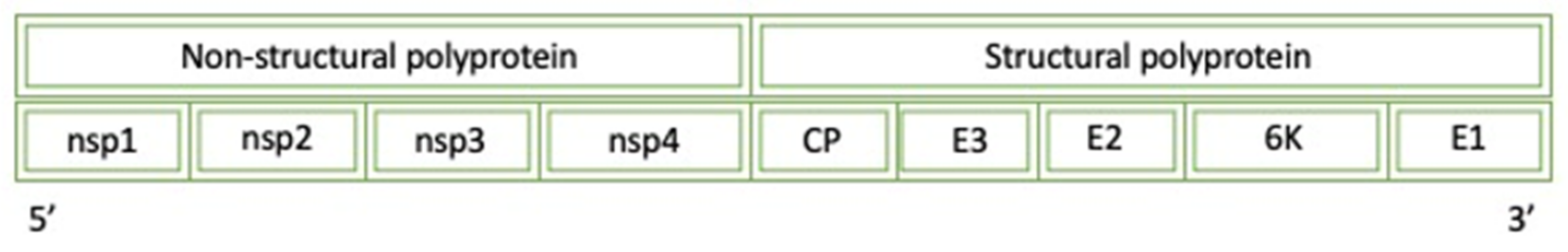 Viruses 14 00379 g009 550