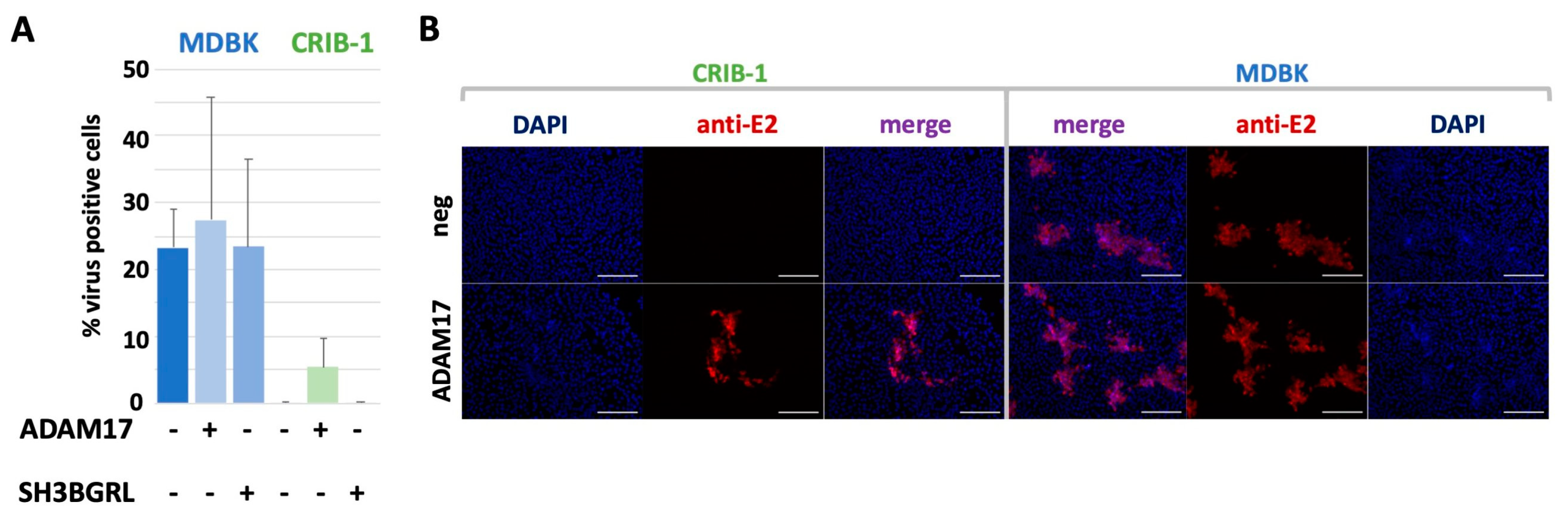 Viruses 14 00381 g004