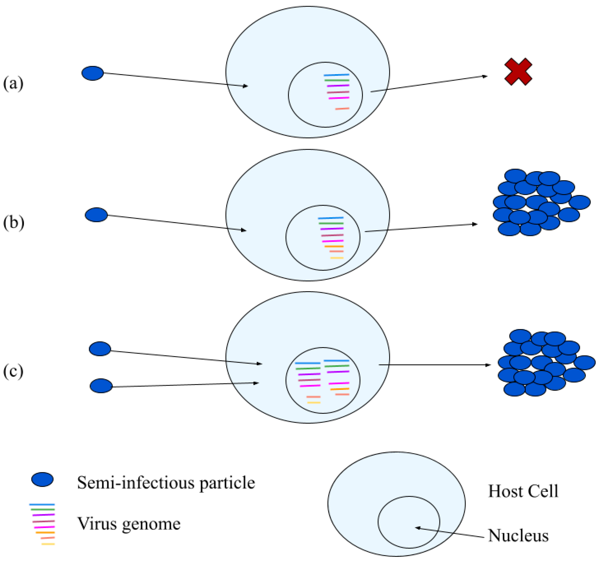 Viruses 14 00383 g005 Viruses 14 00383 g005