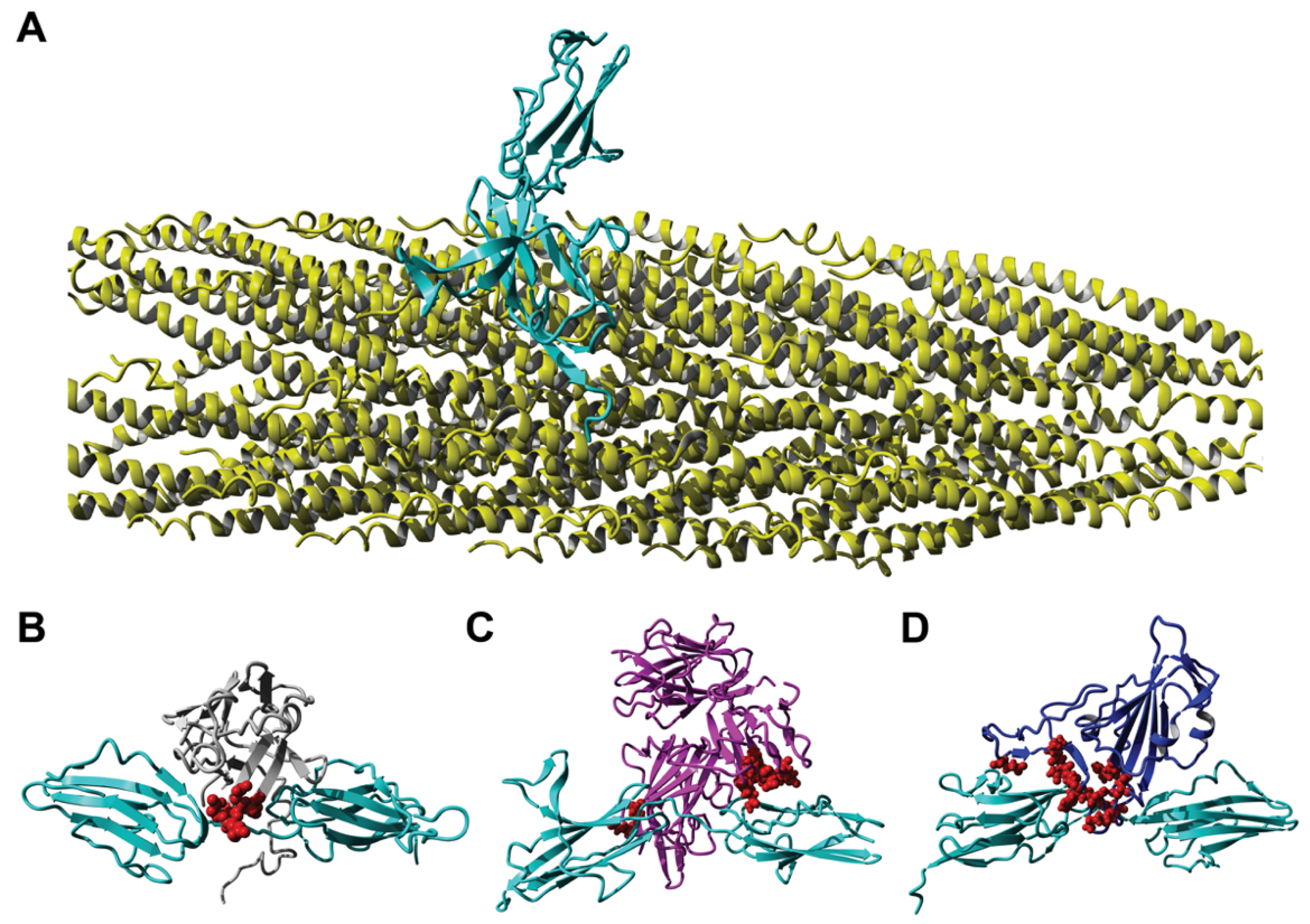Viruses 14 00384 g008