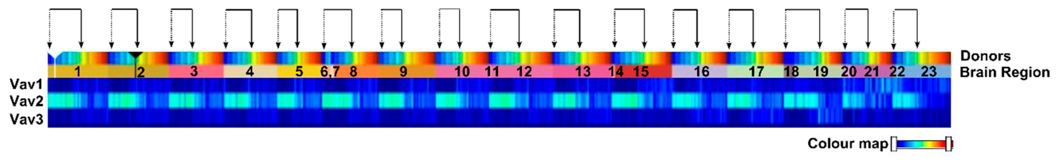 Viruses 14 00386 g001