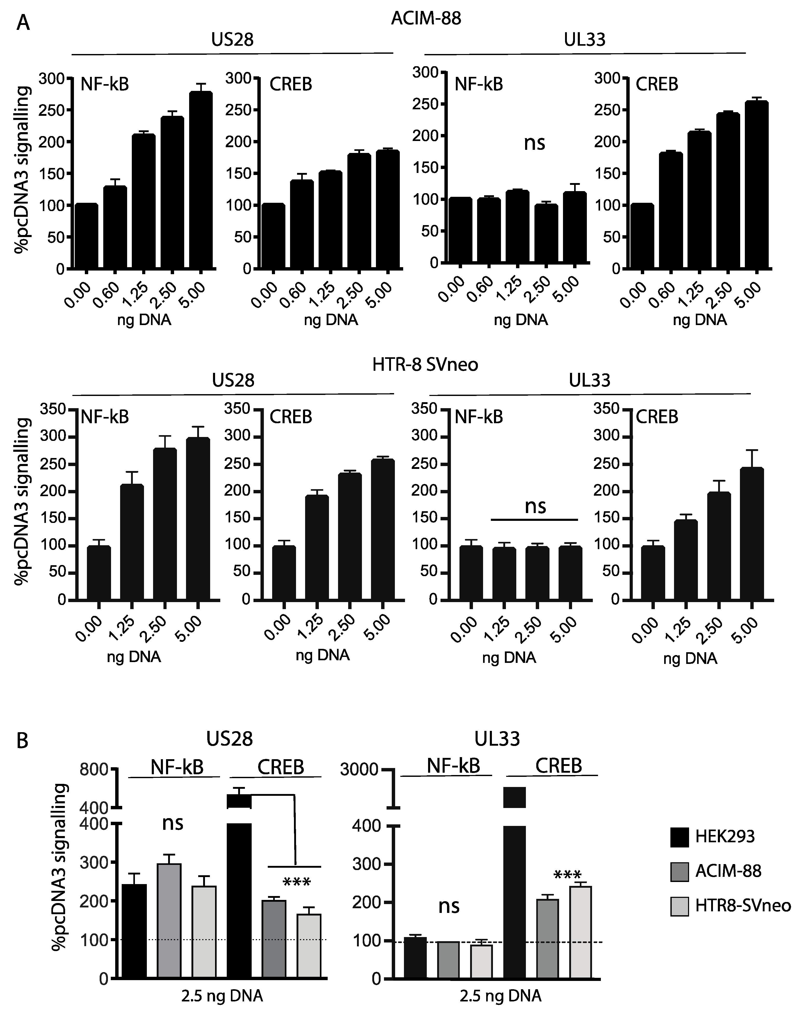 Viruses 14 00391 g002 550