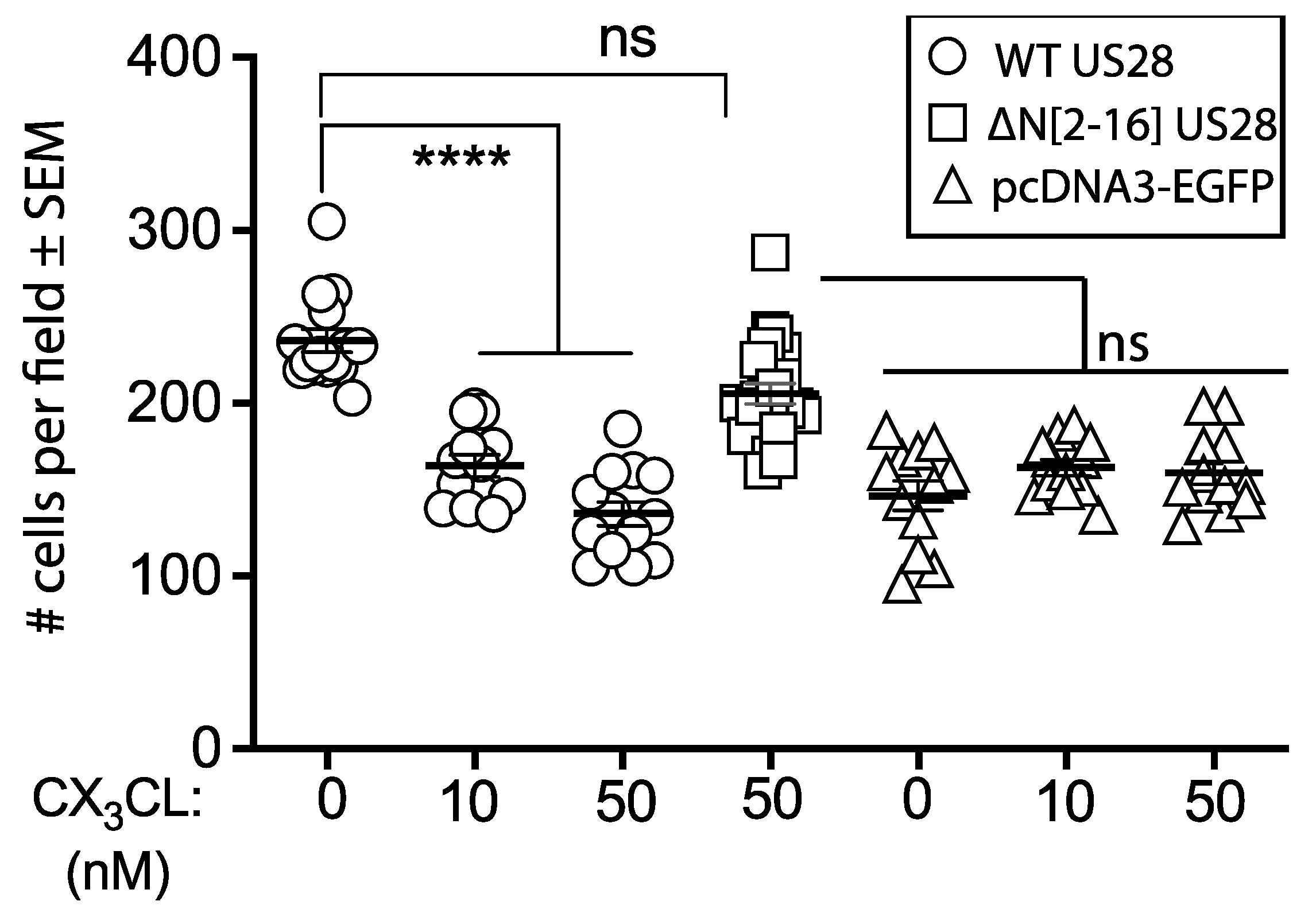 Viruses 14 00391 g007 550