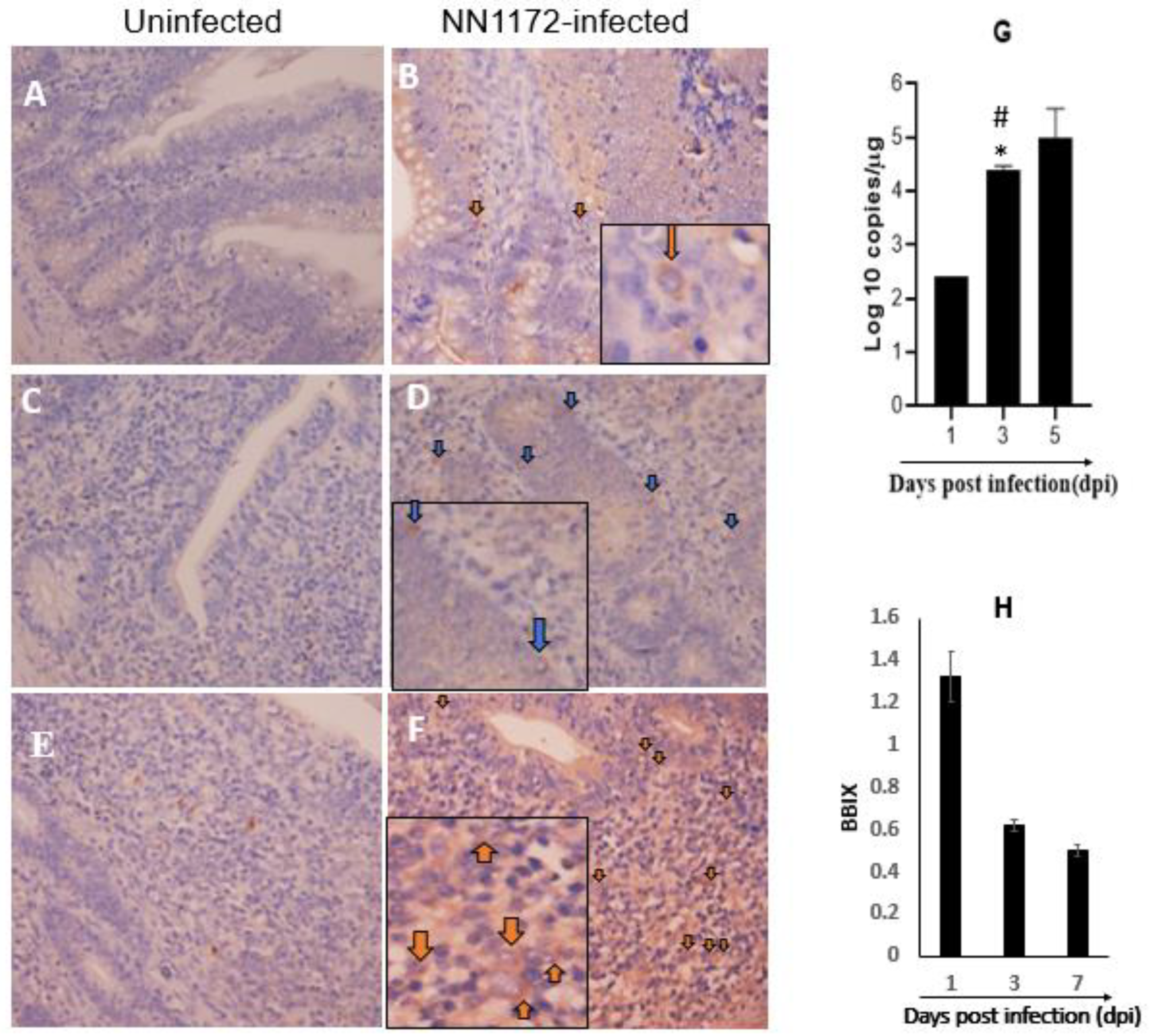 Viruses 14 00393 g001