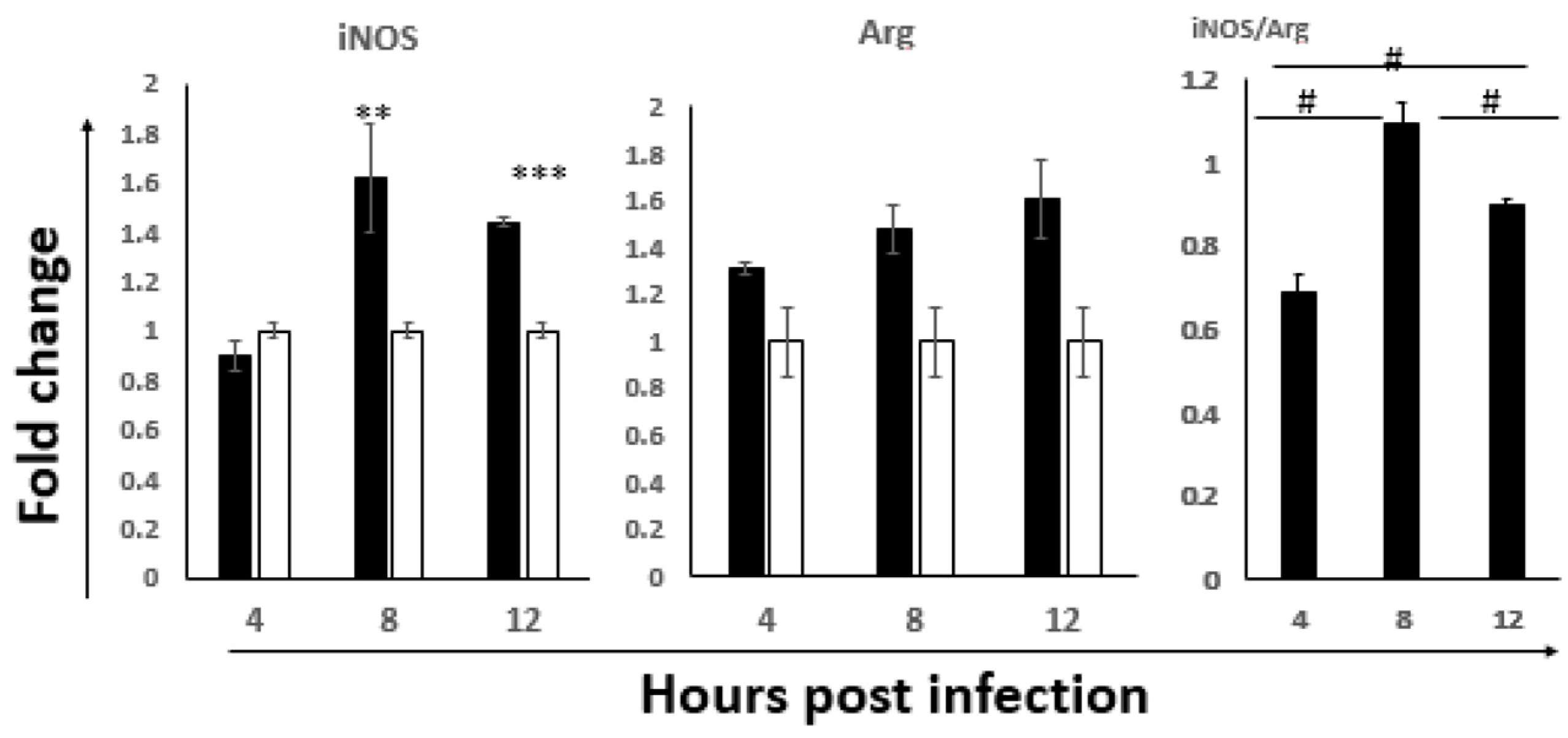 Viruses 14 00393 g003