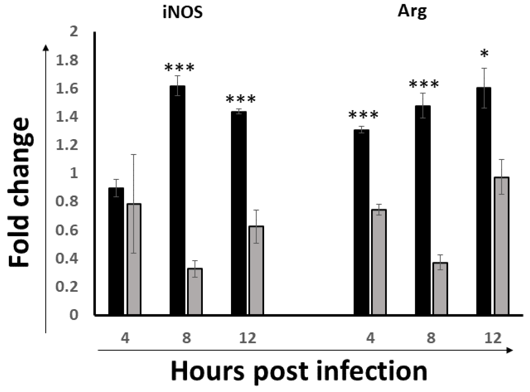 Viruses 14 00393 g006