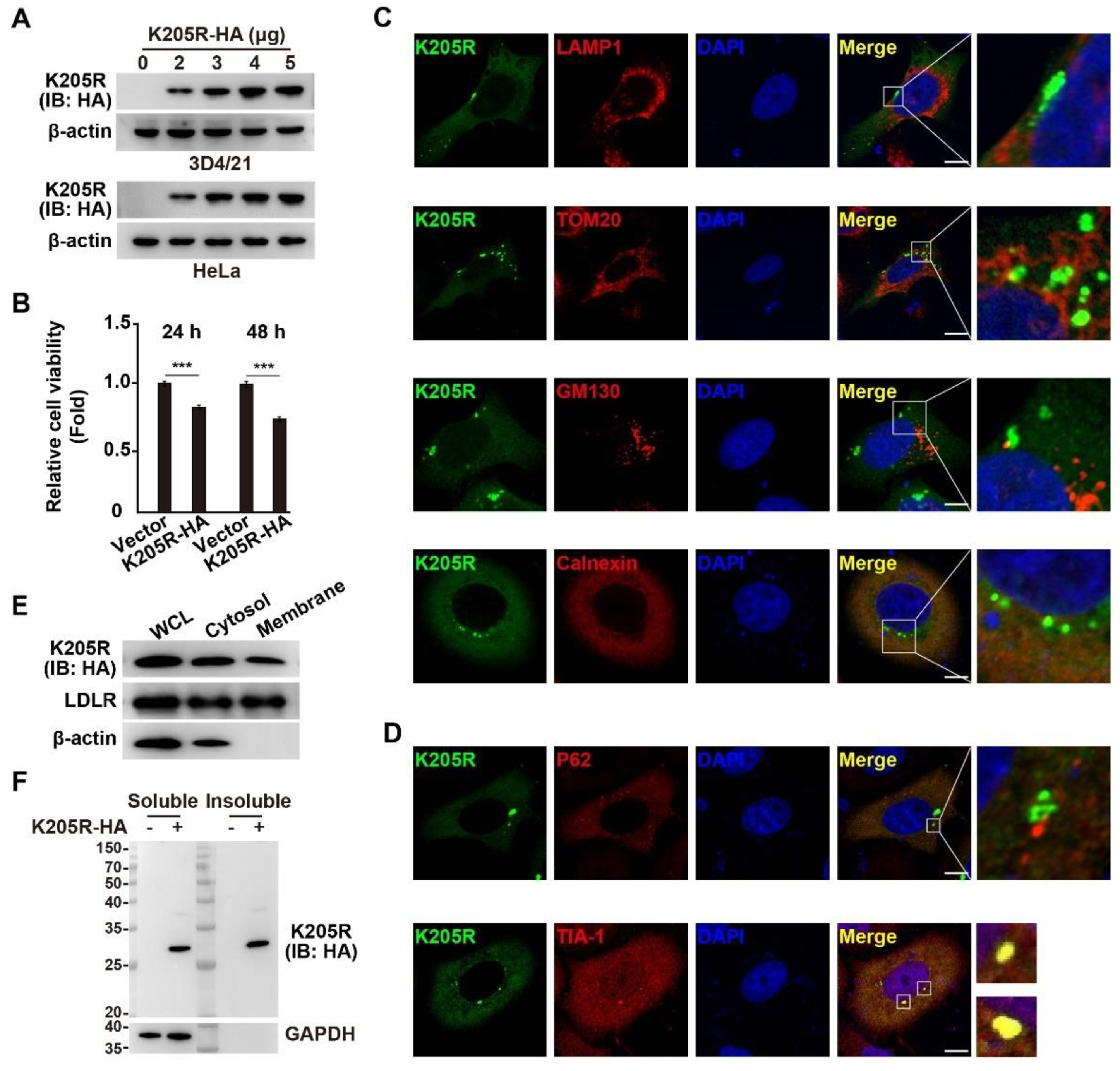 Viruses 14 00394 g002