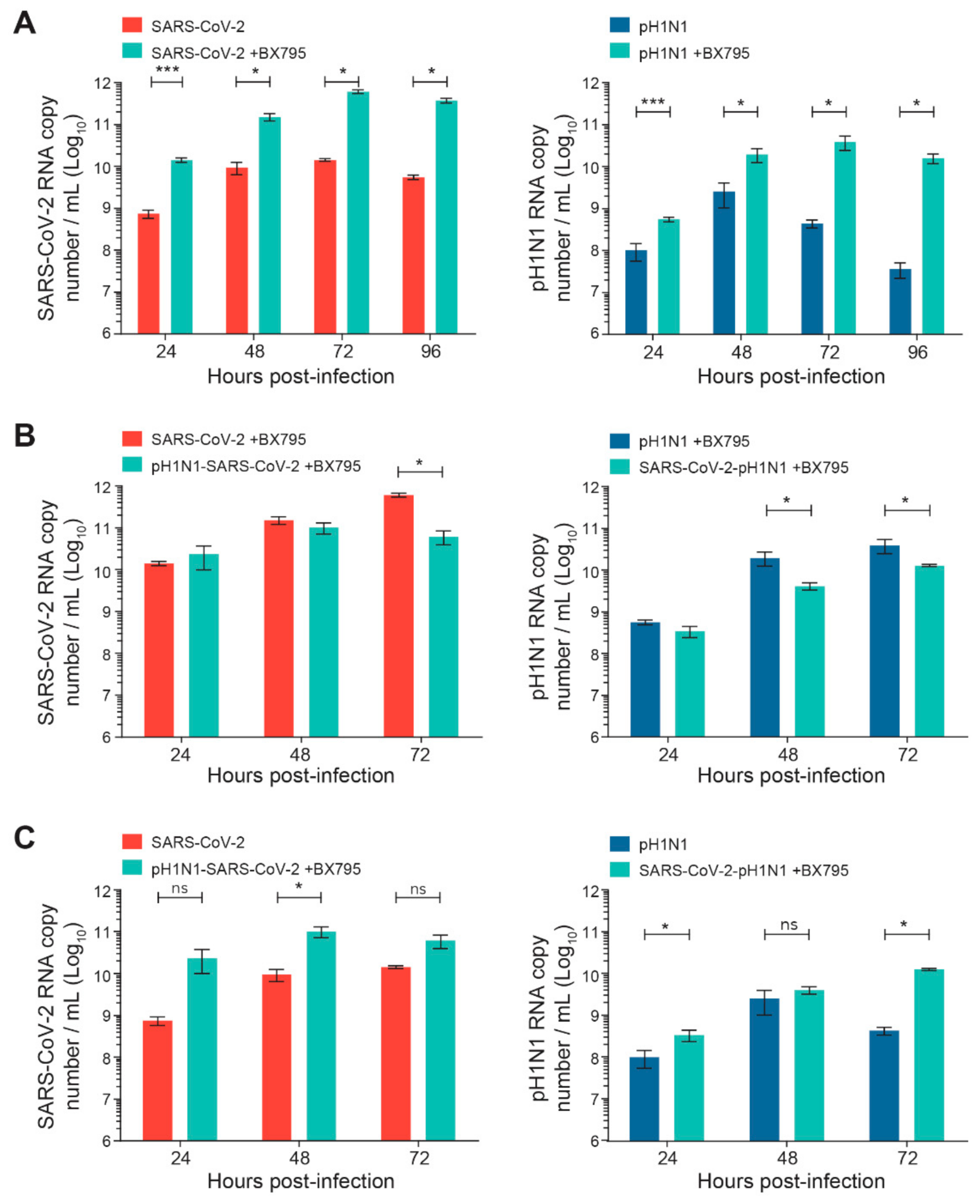 Viruses 14 00395 g004 550