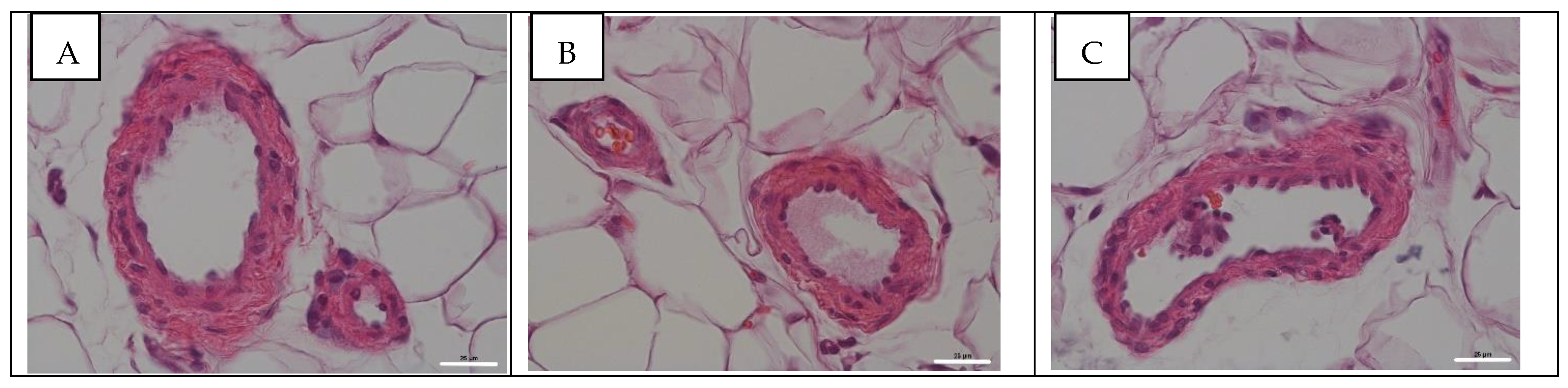 Viruses 14 00396 g002 Viruses 14 00396 g002