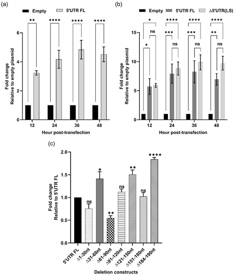 Identification of Cryptic Promoter Activity in cDNA Sequences 