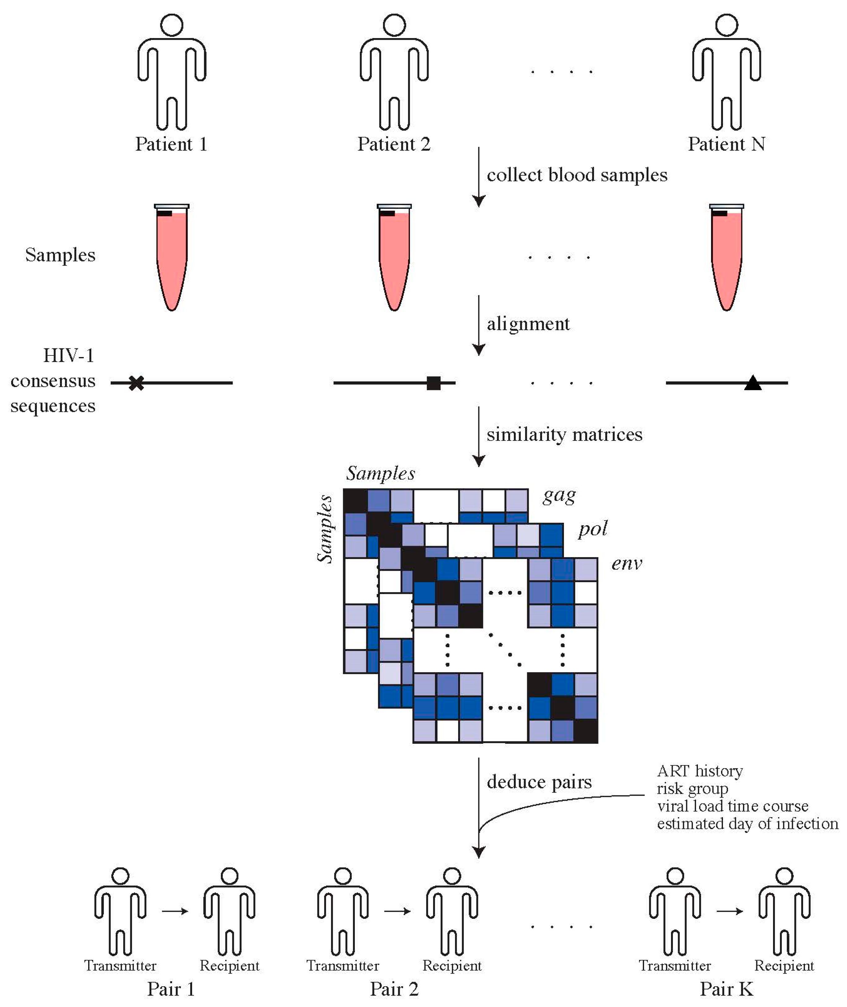 Viruses 14 00406 g001 Viruses 14 00406 g001