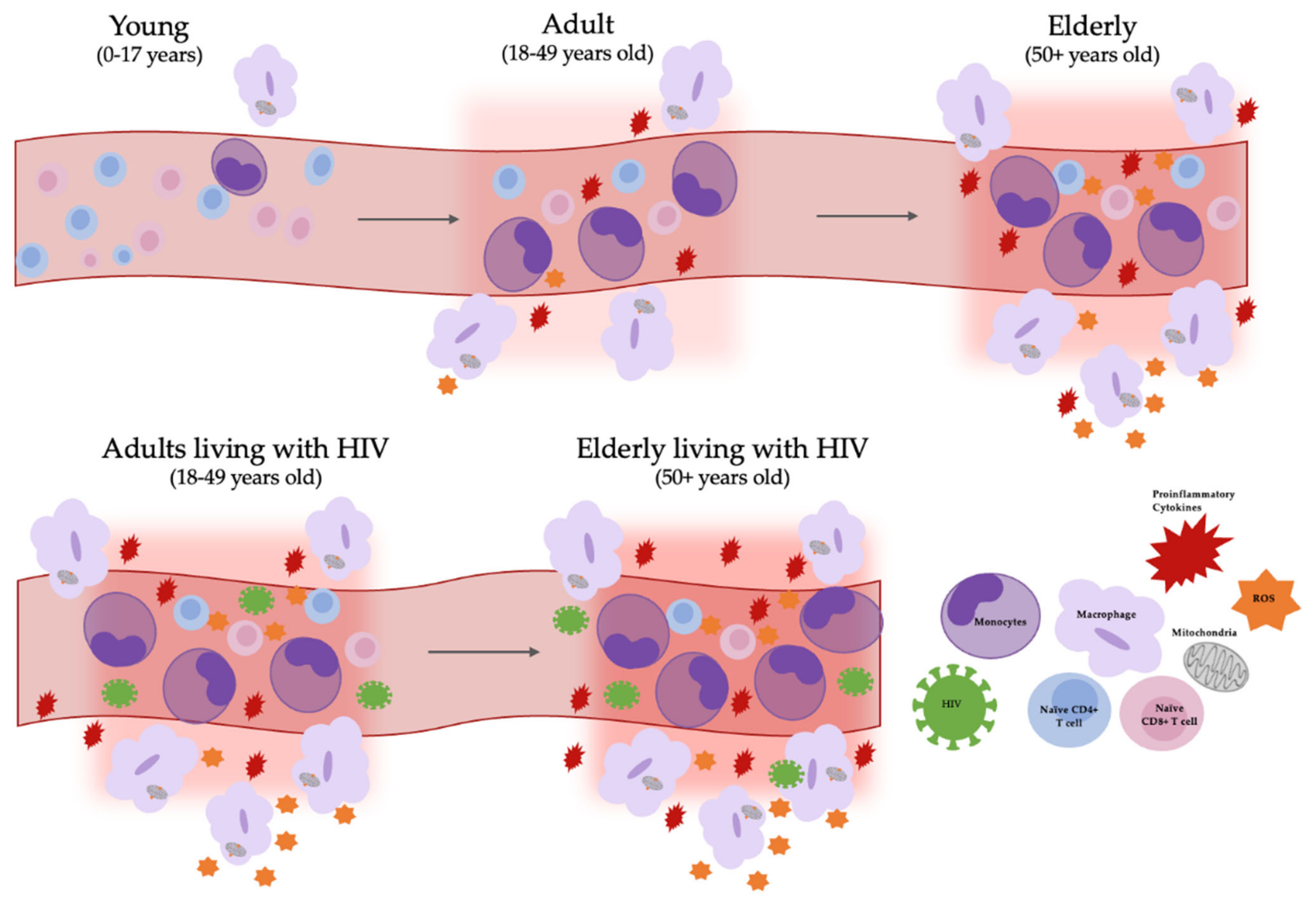 Viruses 14 00409 g001 Viruses 14 00409 g001