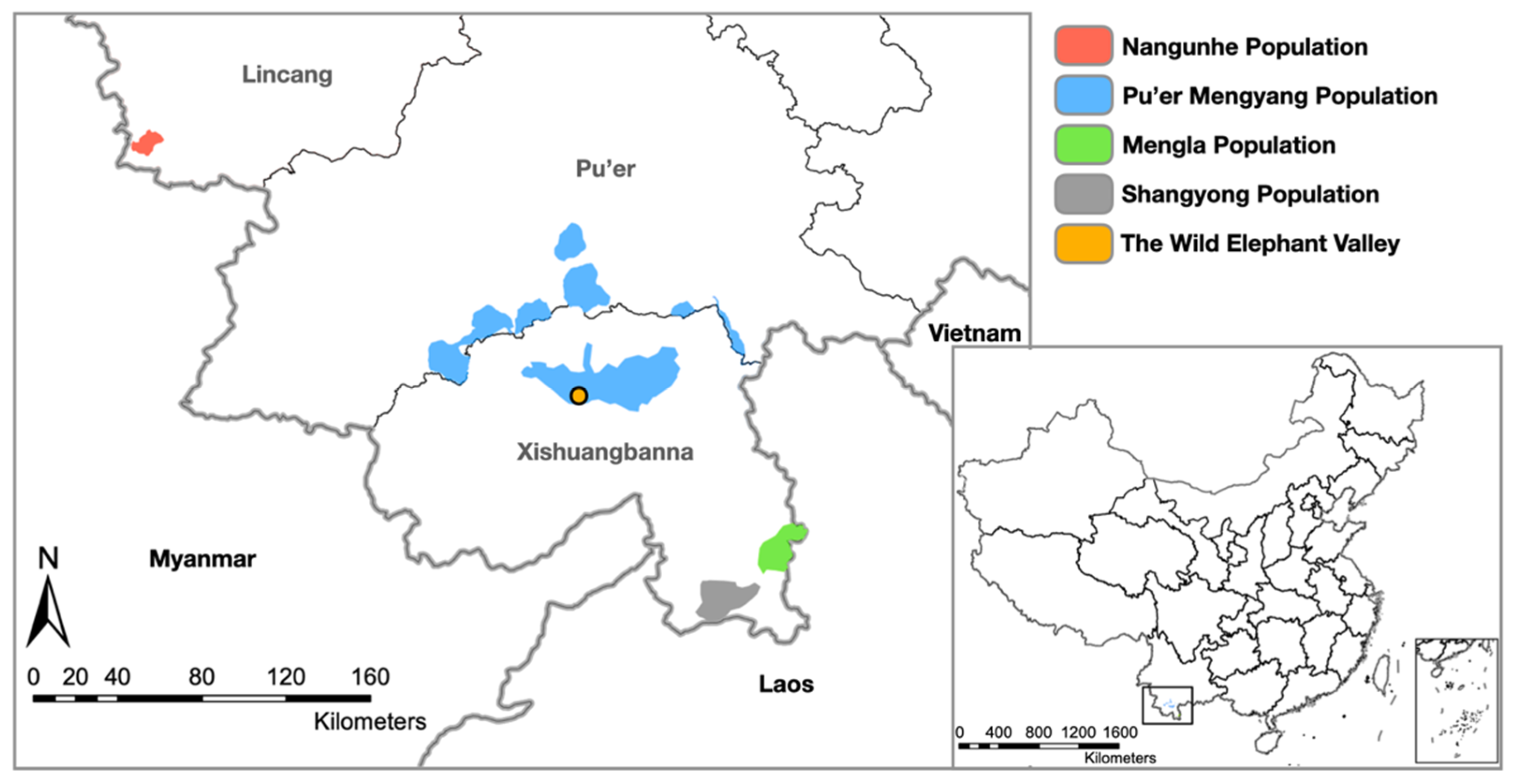 Viruses 14 00411 g001