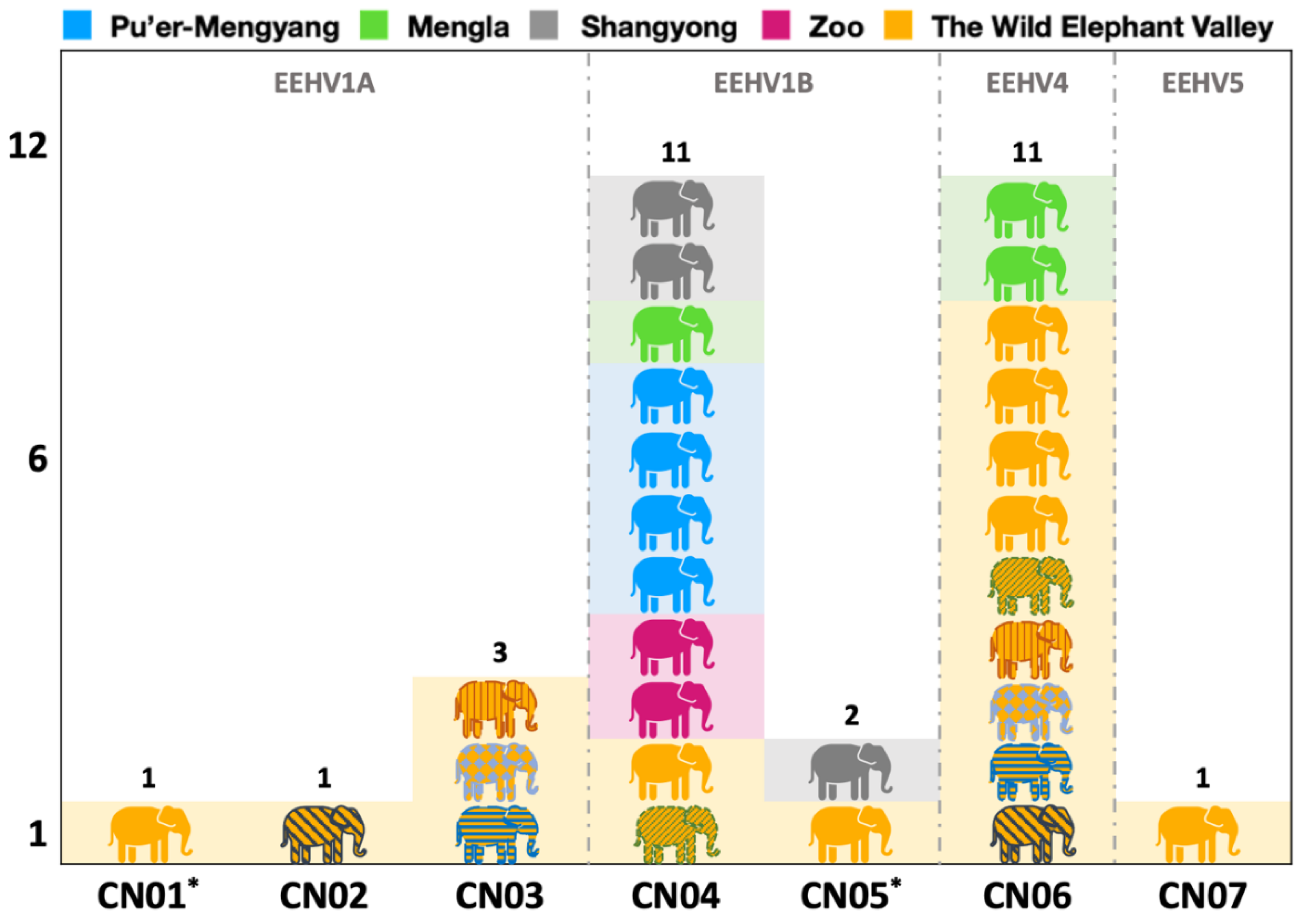 Viruses 14 00411 g003