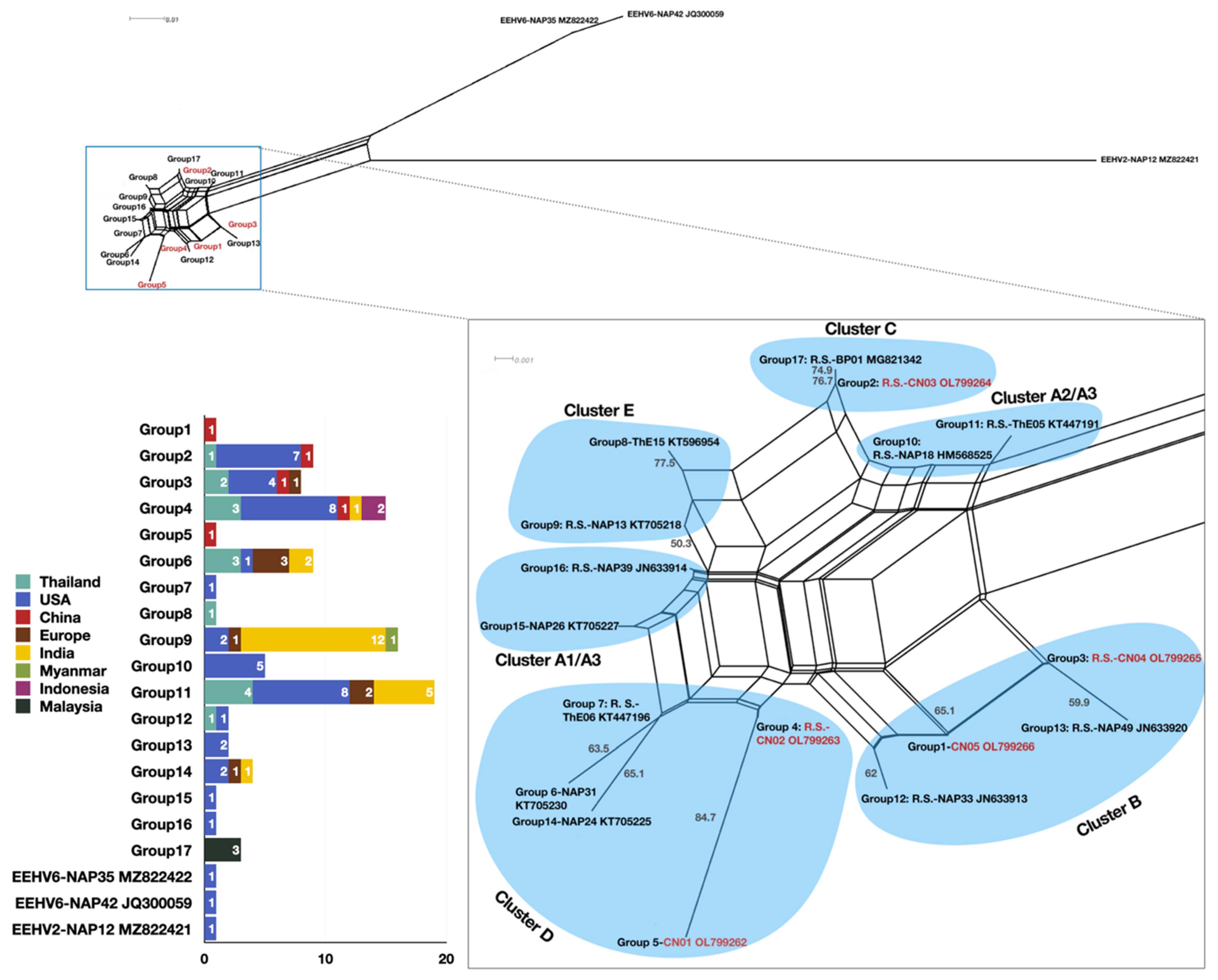 Viruses 14 00411 g004