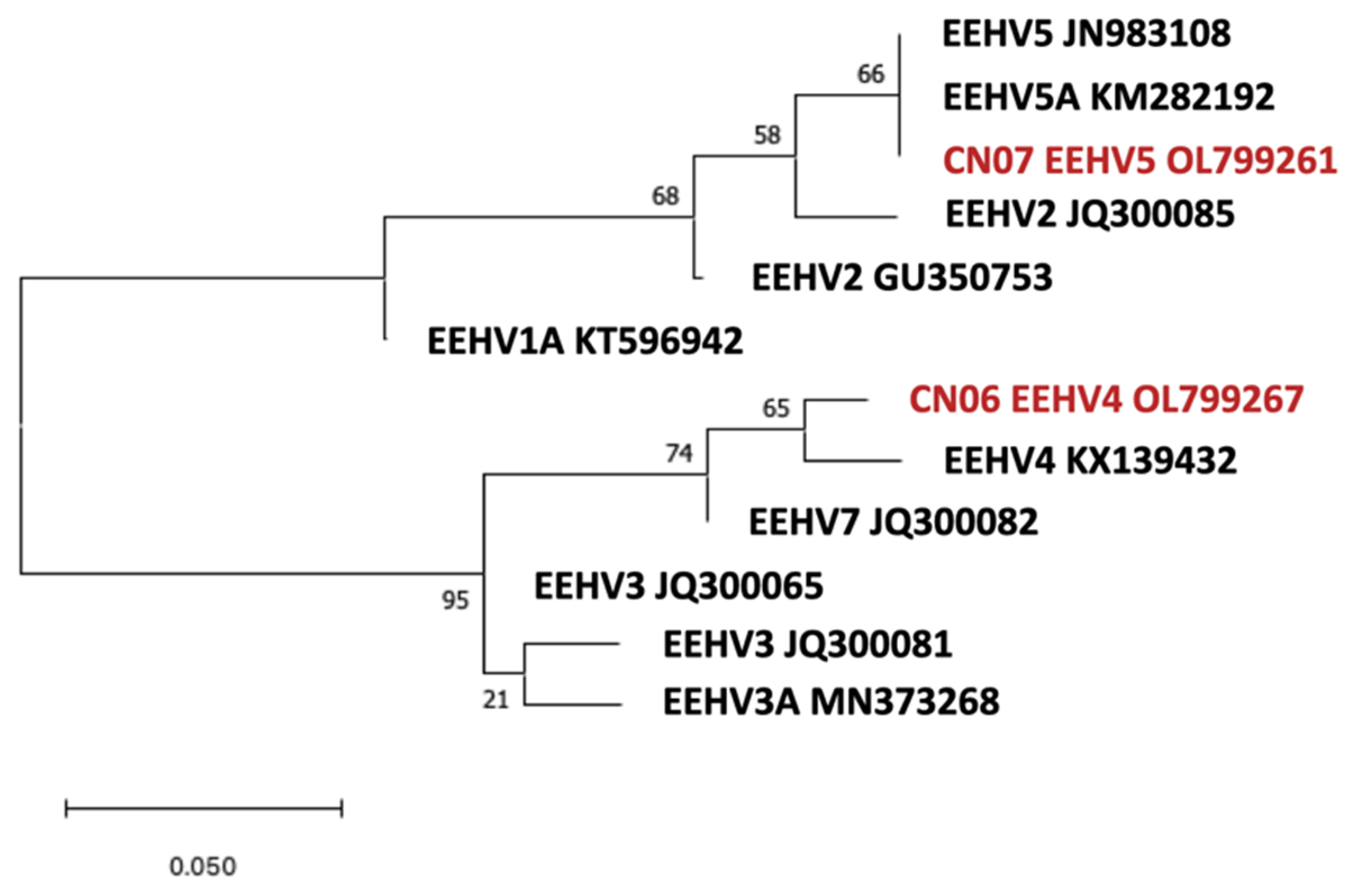 Viruses 14 00411 g005