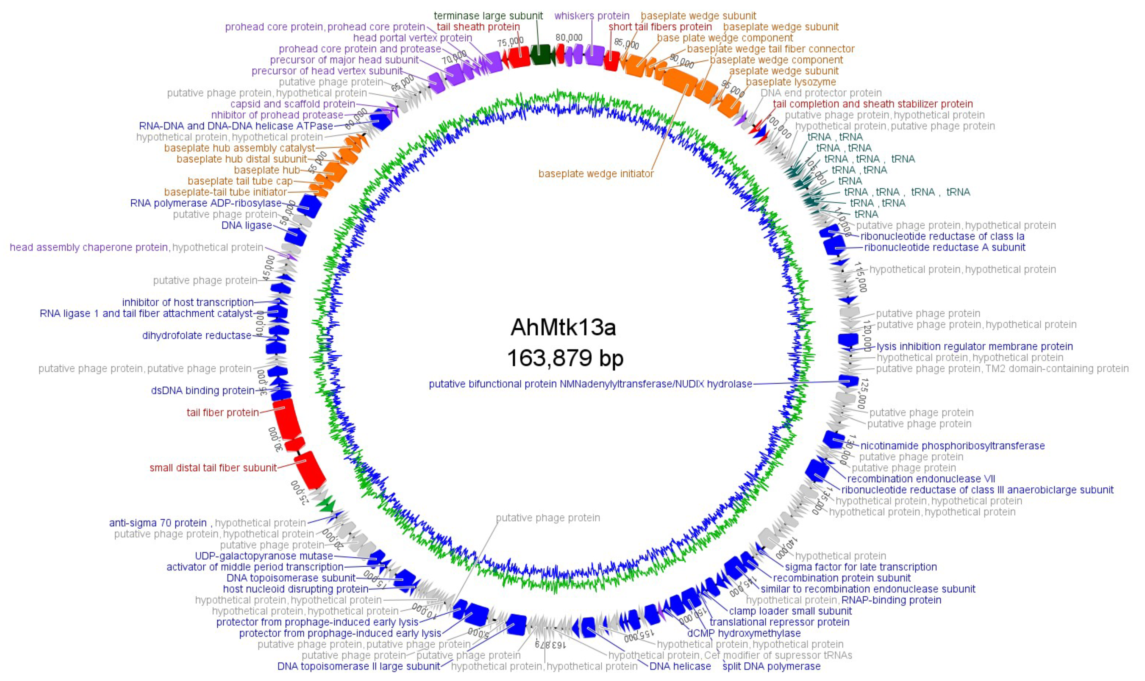 Viruses 14 00412 g002