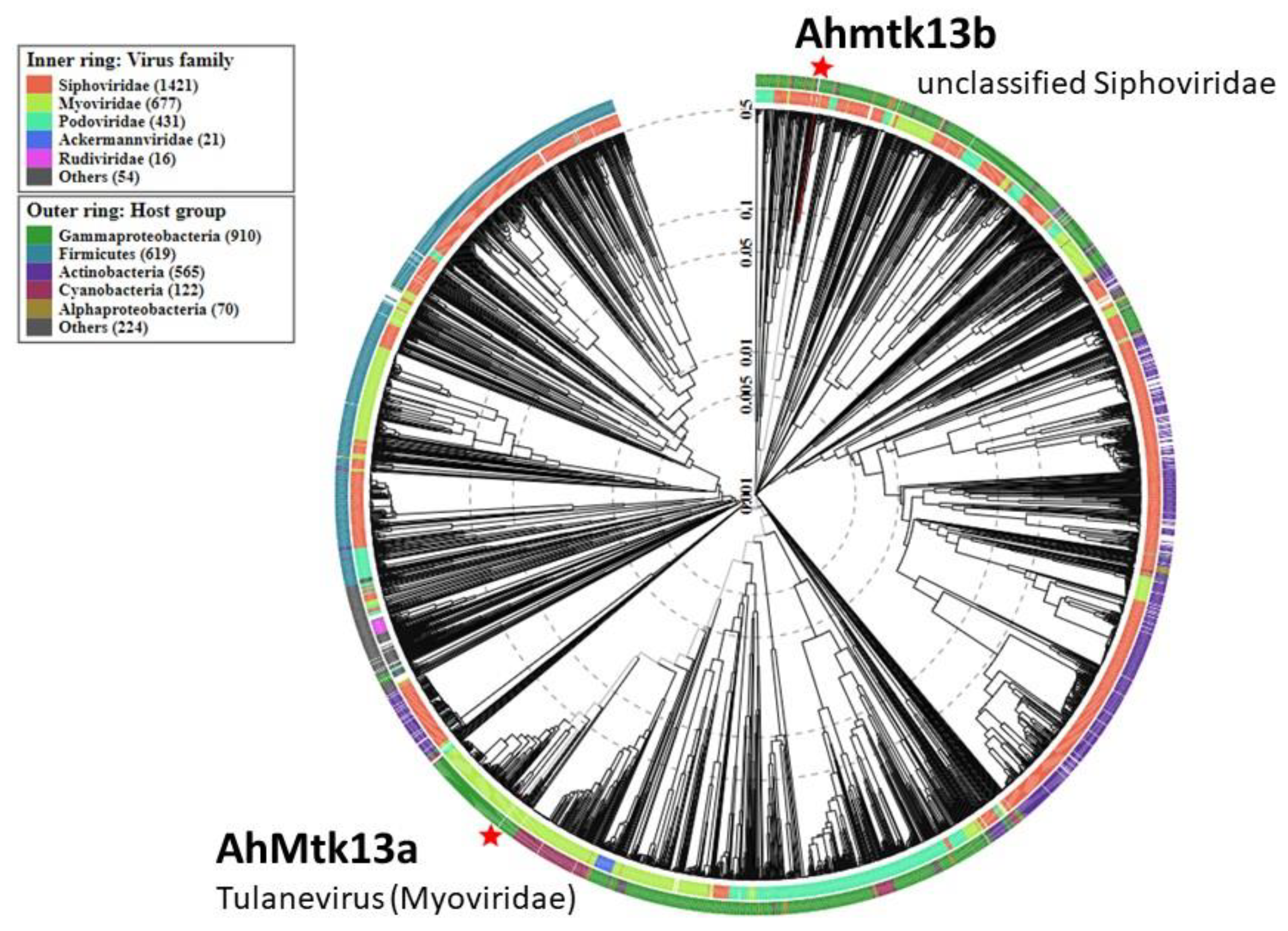 Viruses 14 00412 g003