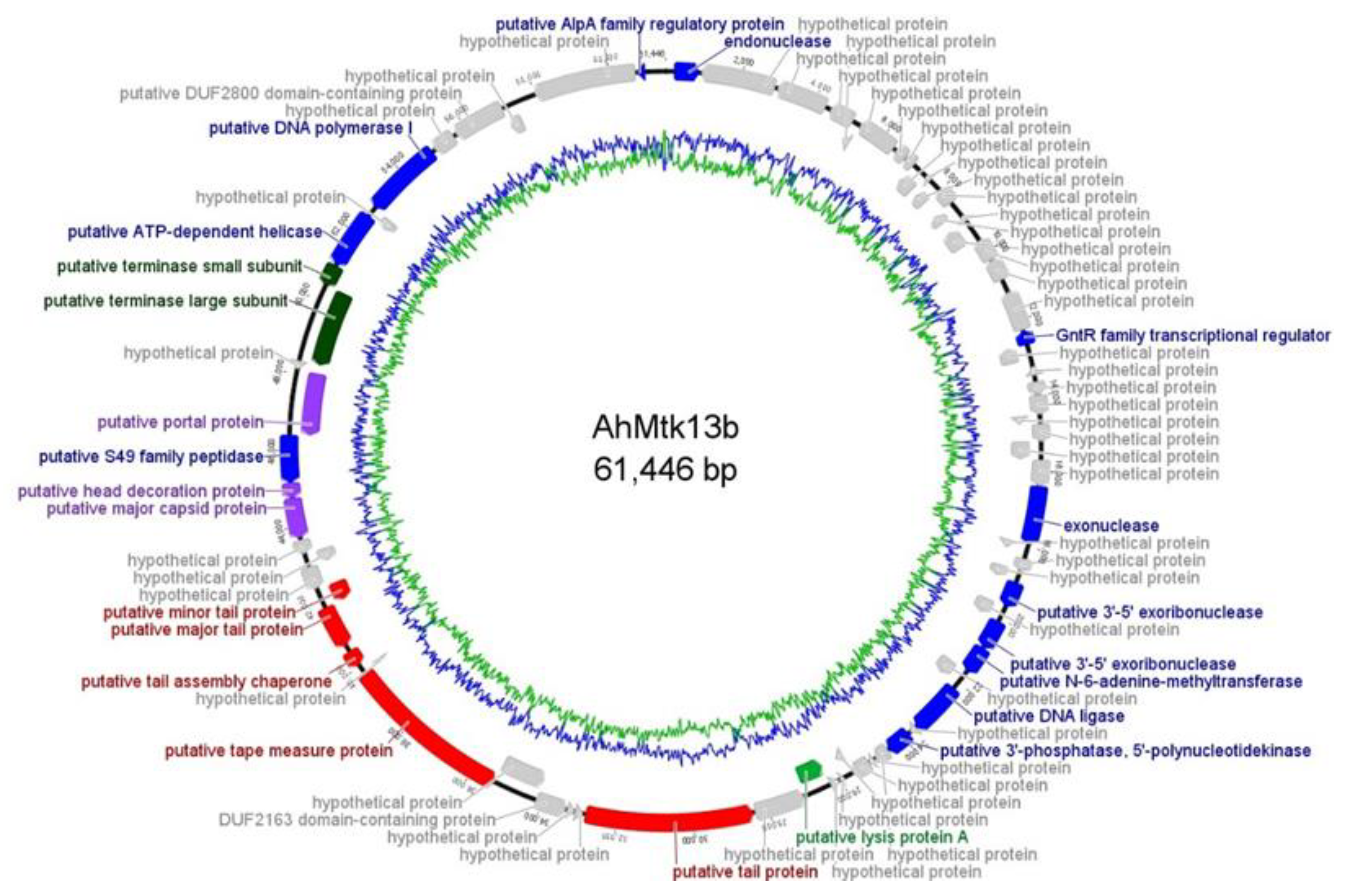 Viruses 14 00412 g005