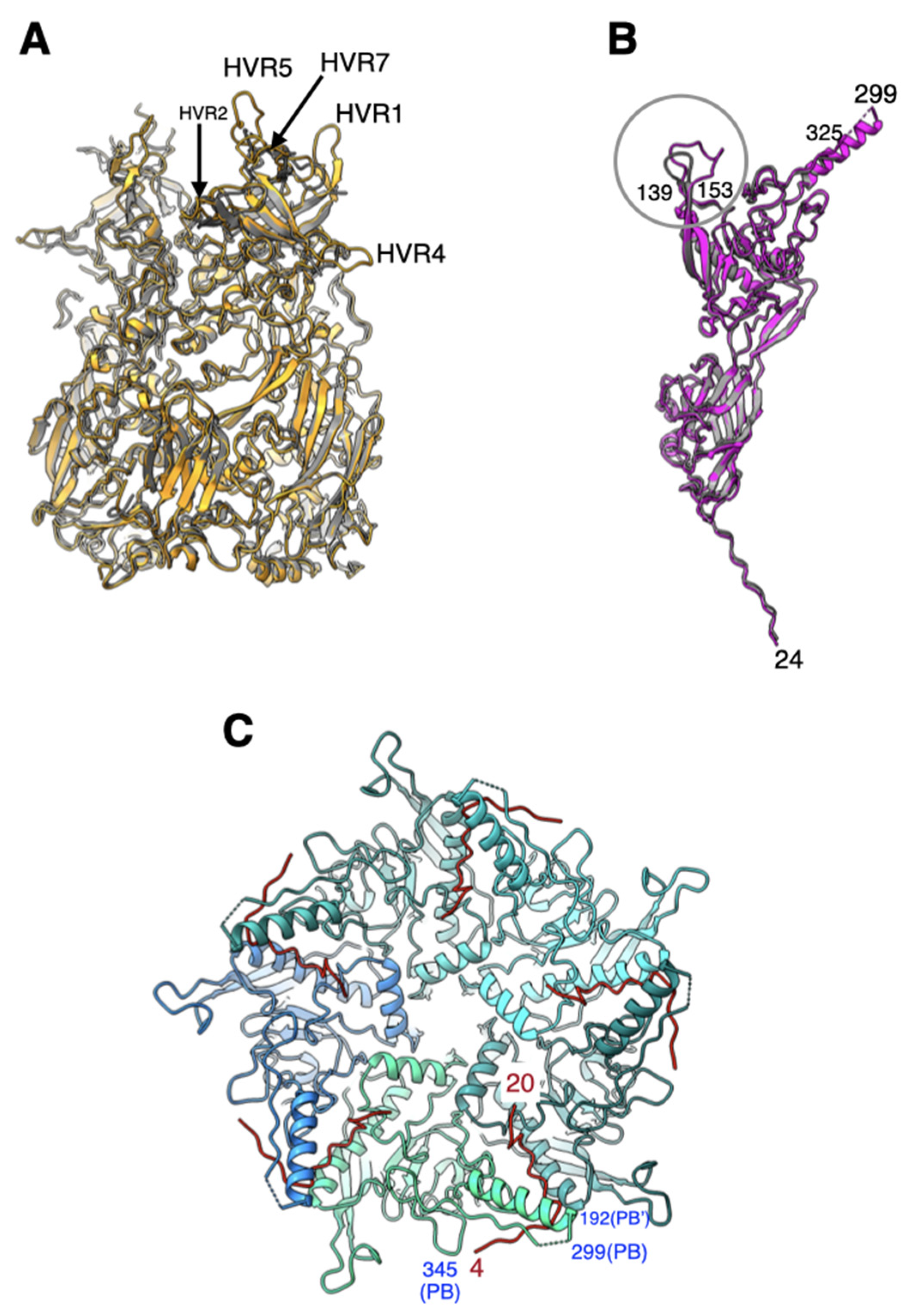 Viruses 14 00414 g002 Viruses 14 00414 g002