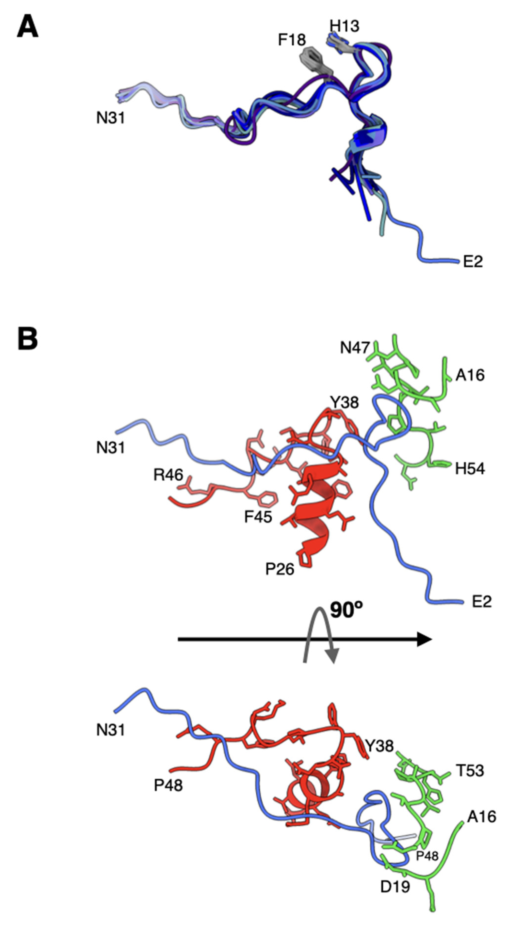Viruses 14 00414 g006 Viruses 14 00414 g006